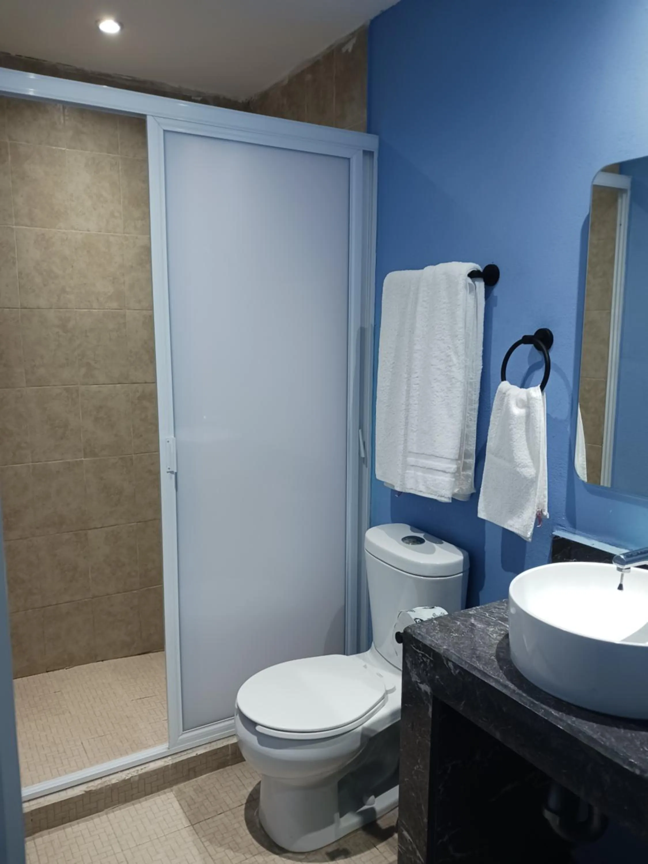 LA CASA AZUL DE SAMARA