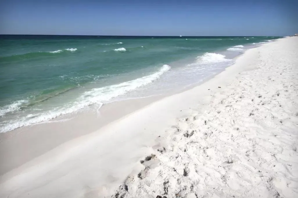 Beach Blessing