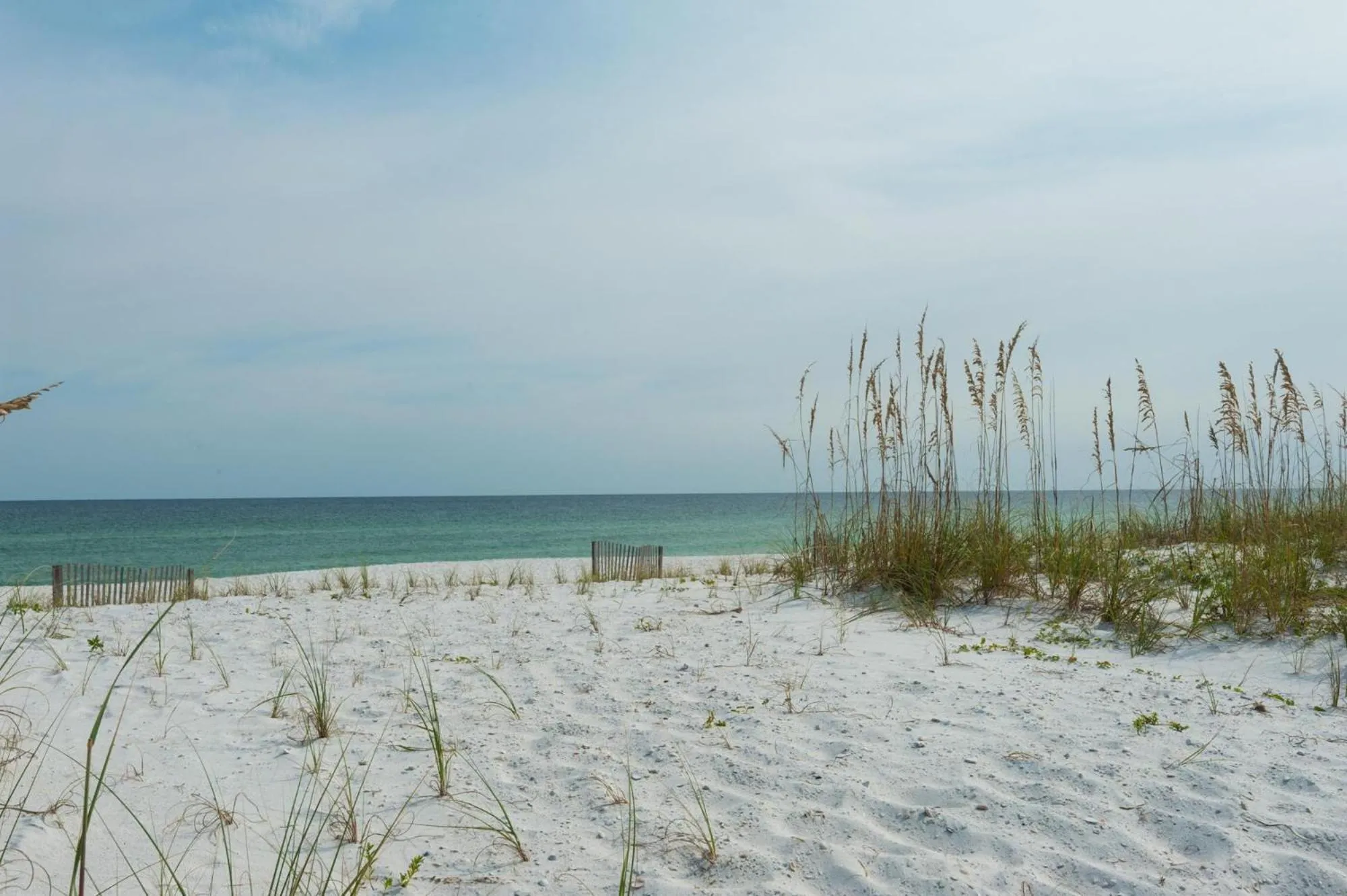 Beach Blessing