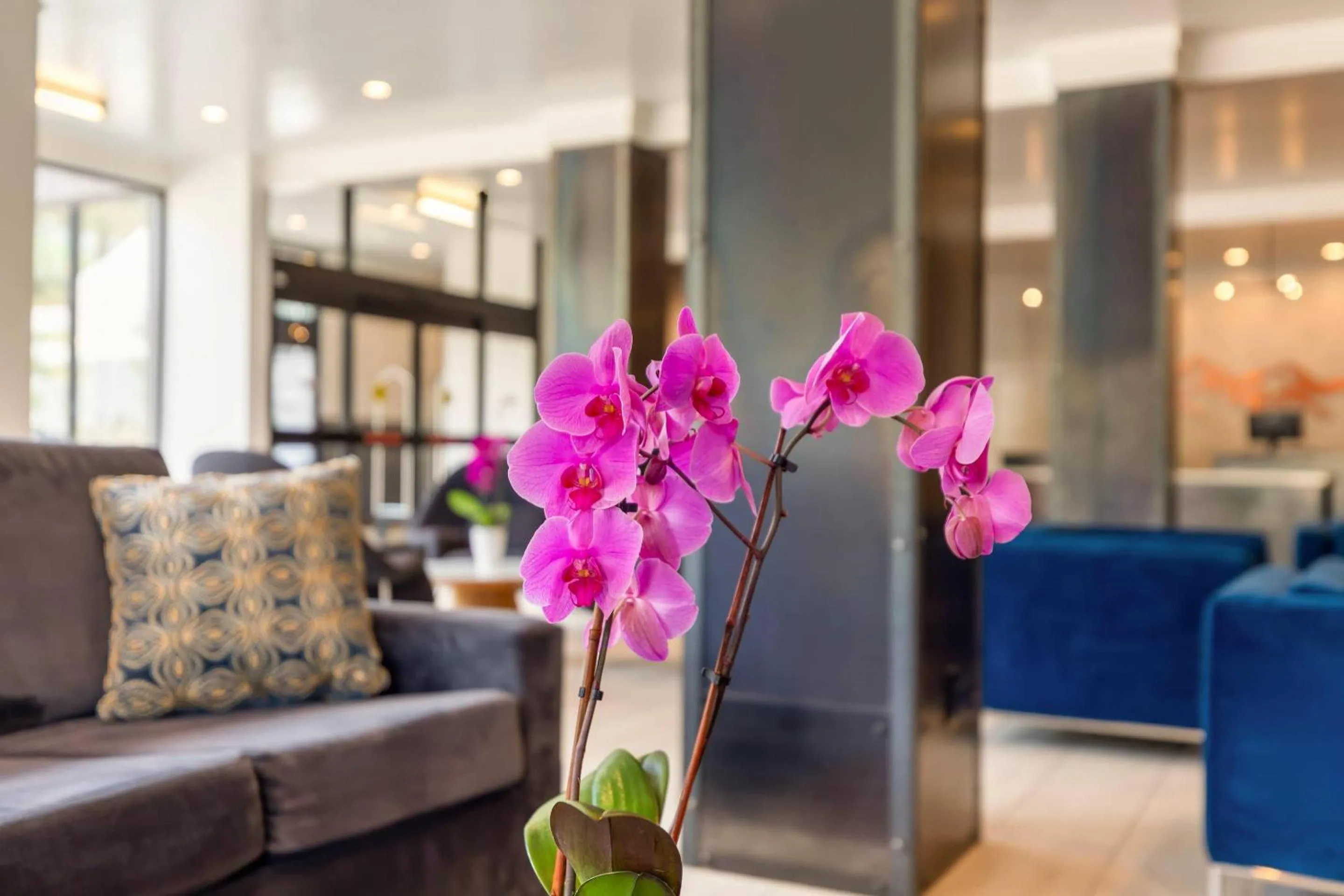 Other in Cambria Hotel Copper Mountain