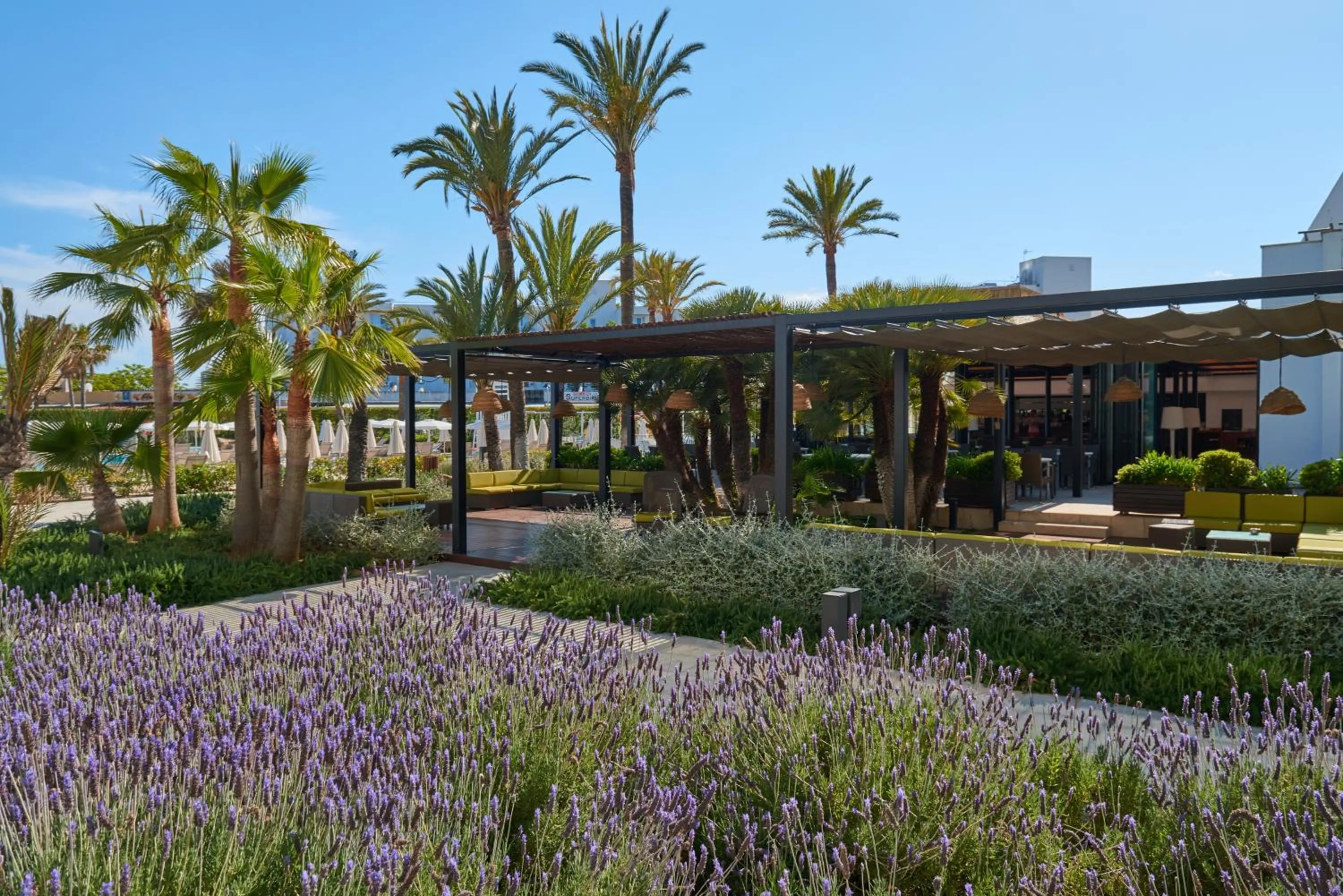Garden in Protur Sa Coma Playa Hotel & Spa