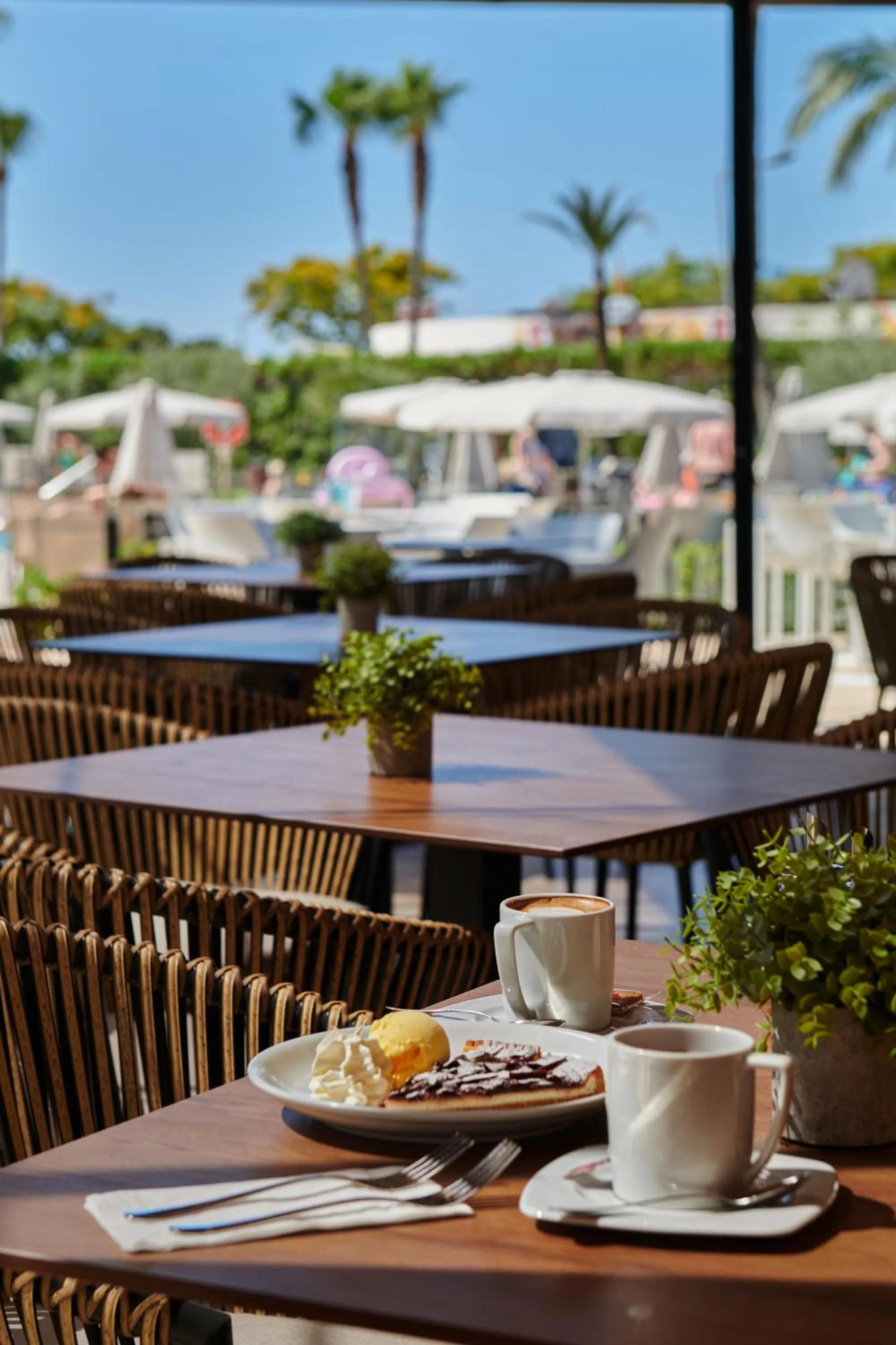 Food and drinks in Protur Sa Coma Playa Hotel & Spa