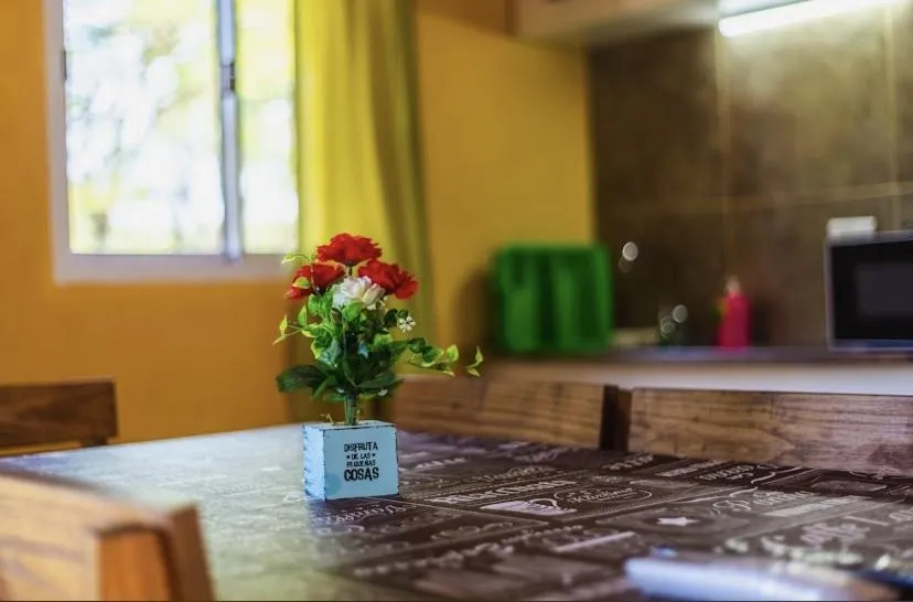 Kitchen or kitchenette in Posada The Gringos