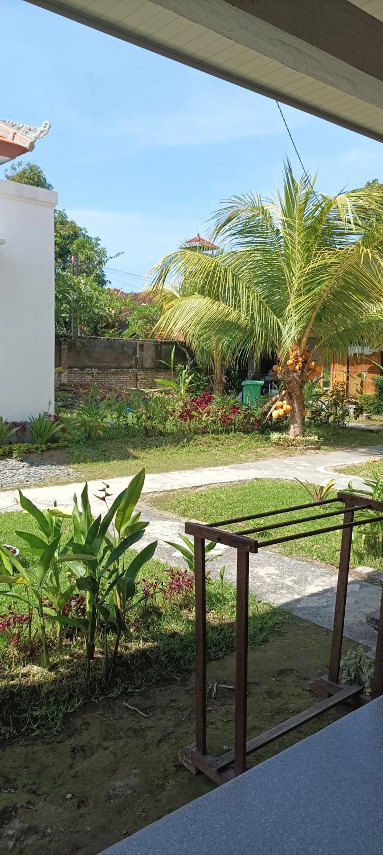 Garden in Hotel My New Lovina