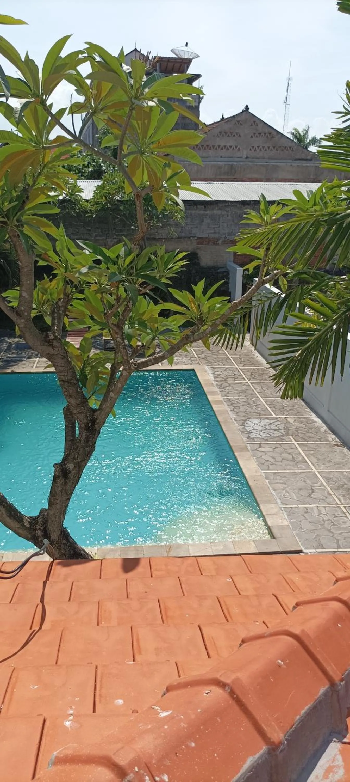 Pool view in Hotel My New Lovina