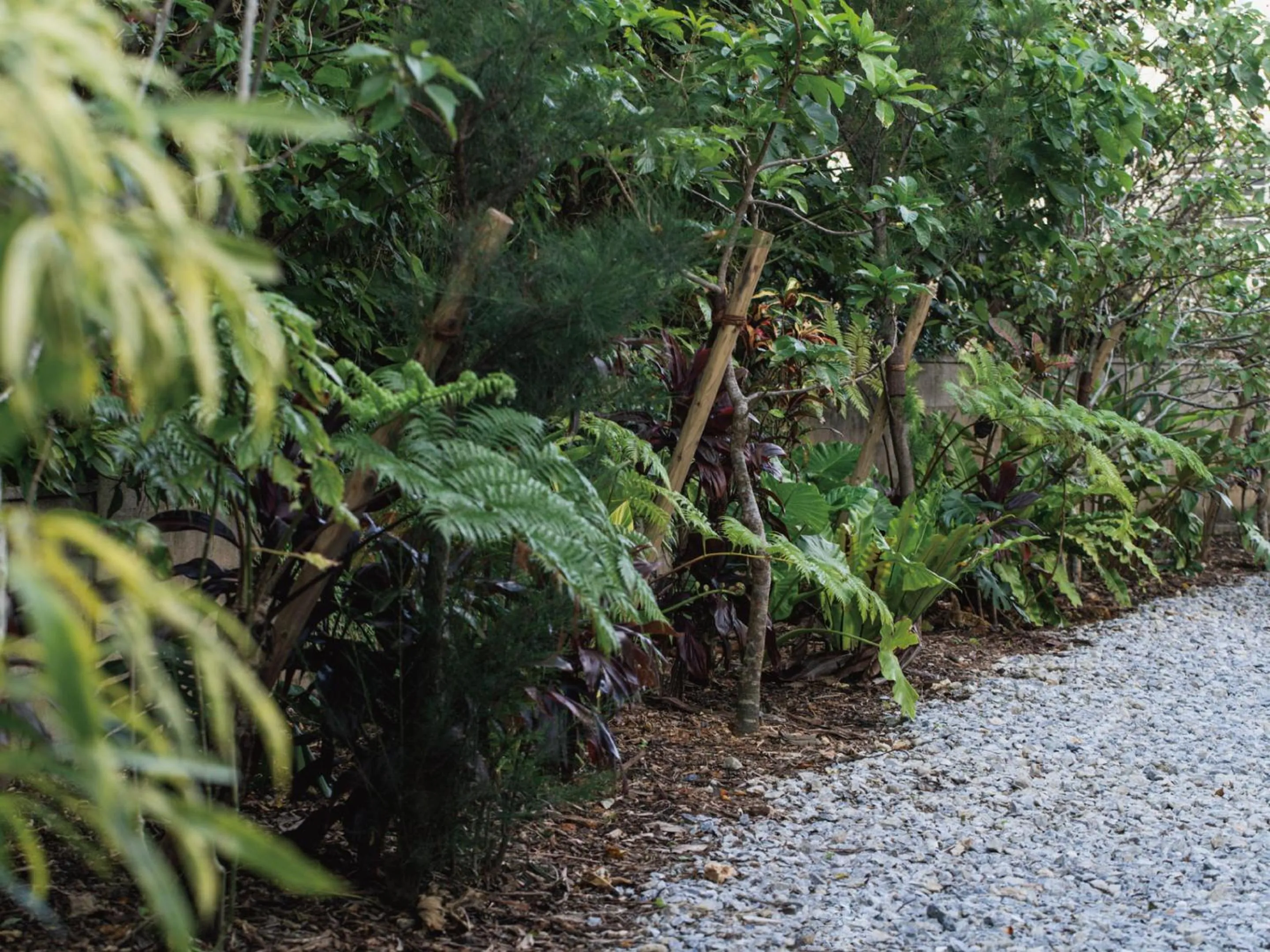 Photo of the whole room in Bosco Yomitan Resort Condminium