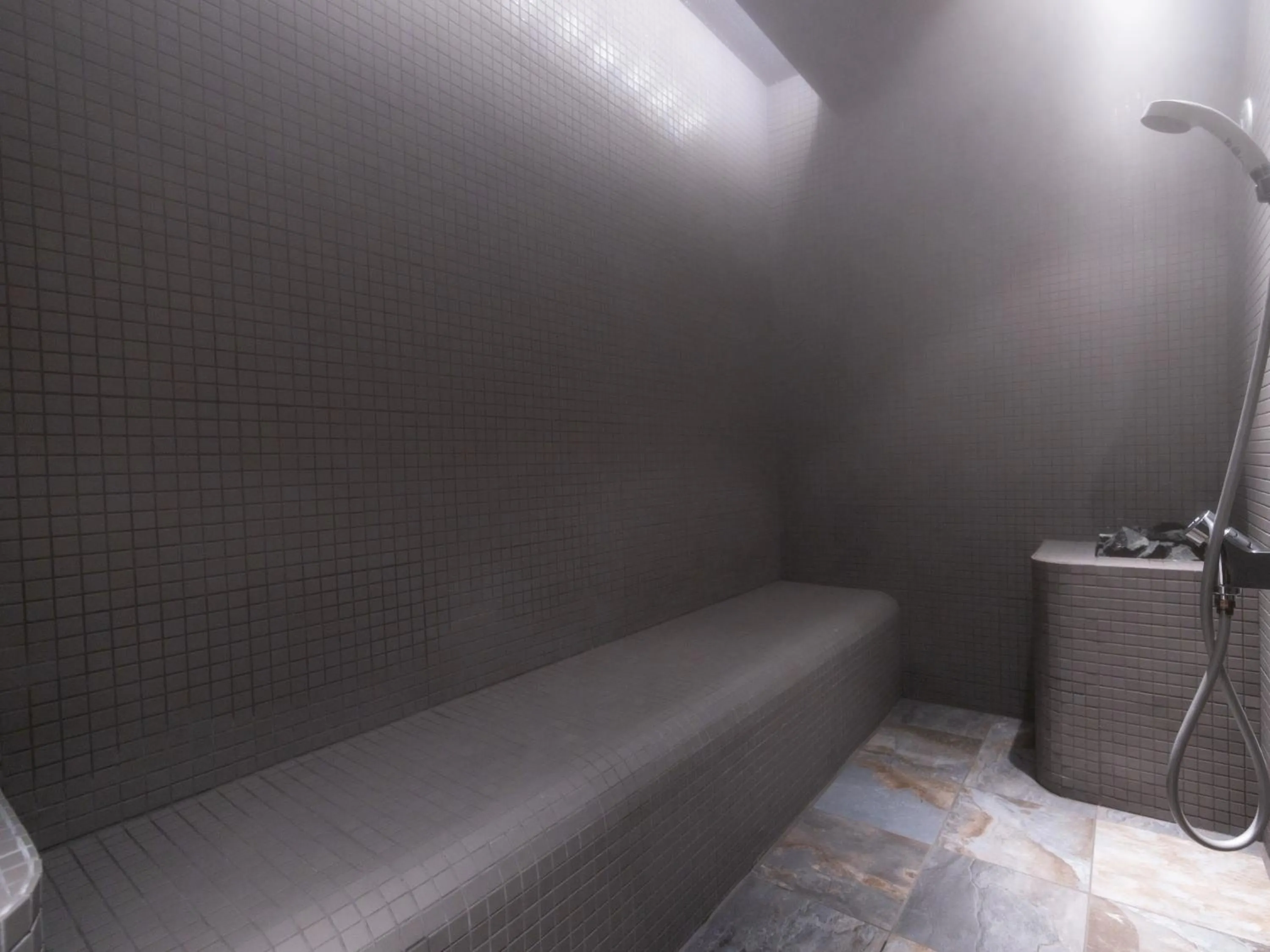 Sauna in The Royal Park Canvas Fukuoka Nakasu