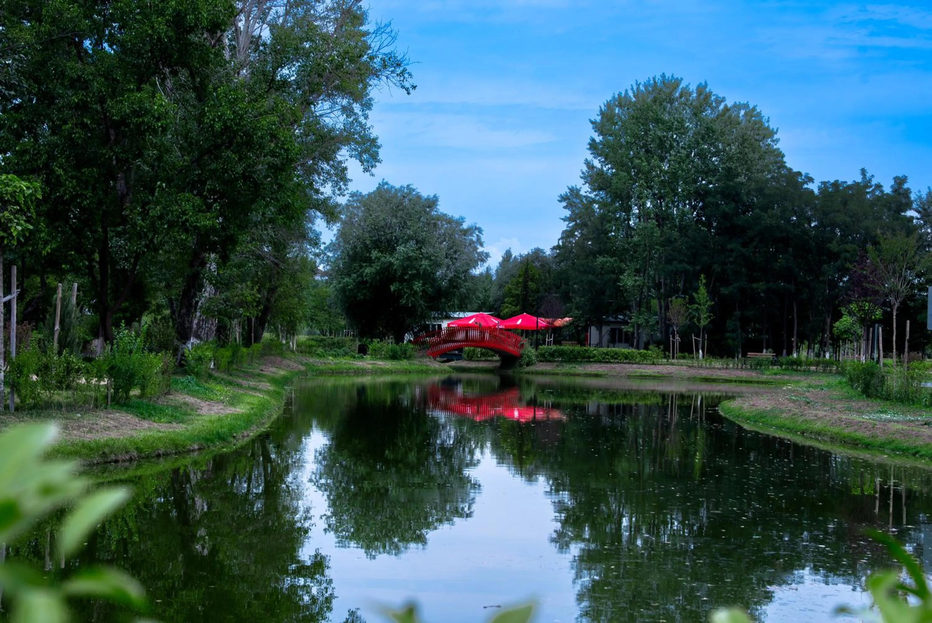 Natural landscape in Gori Inn