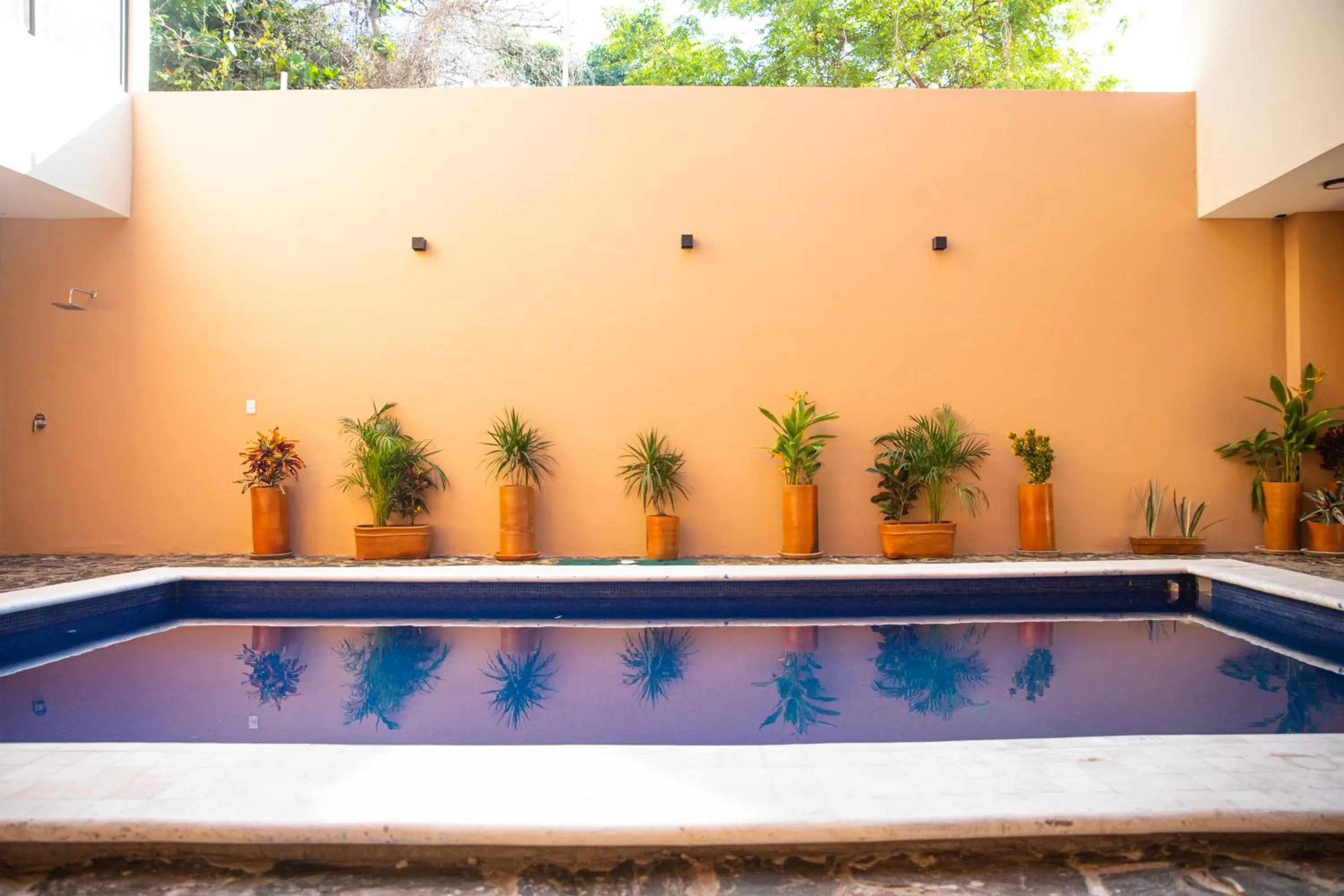Balcony/Terrace in Hotel Santa Cruz Punta Zicatela