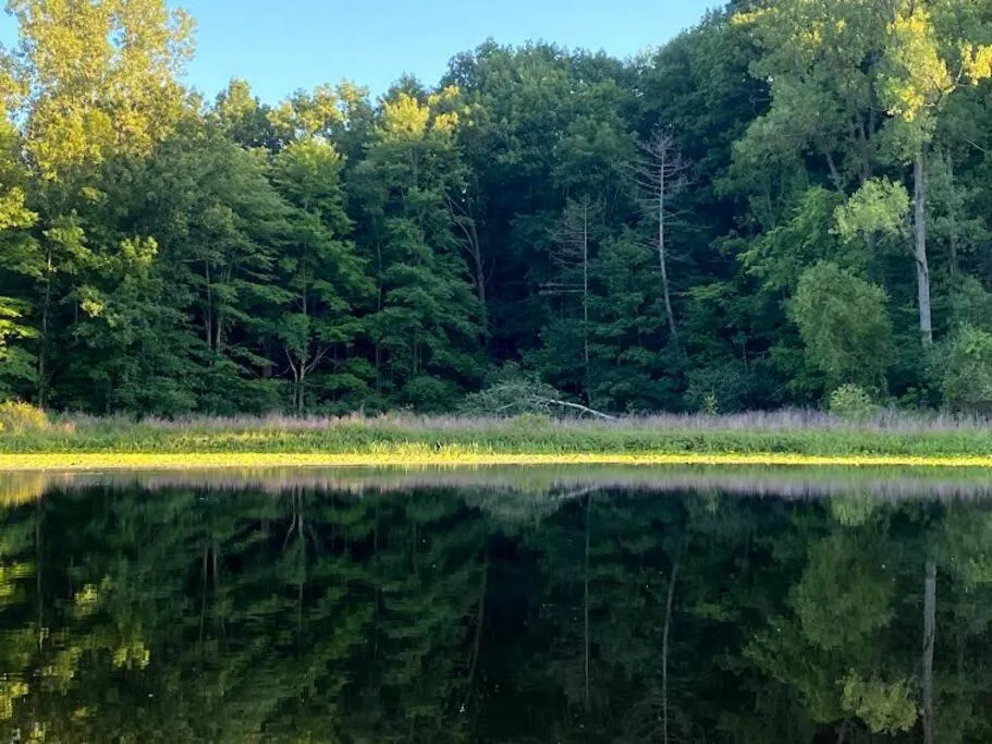 Chelsea Lake House, Game Room, & Pontoon-rental