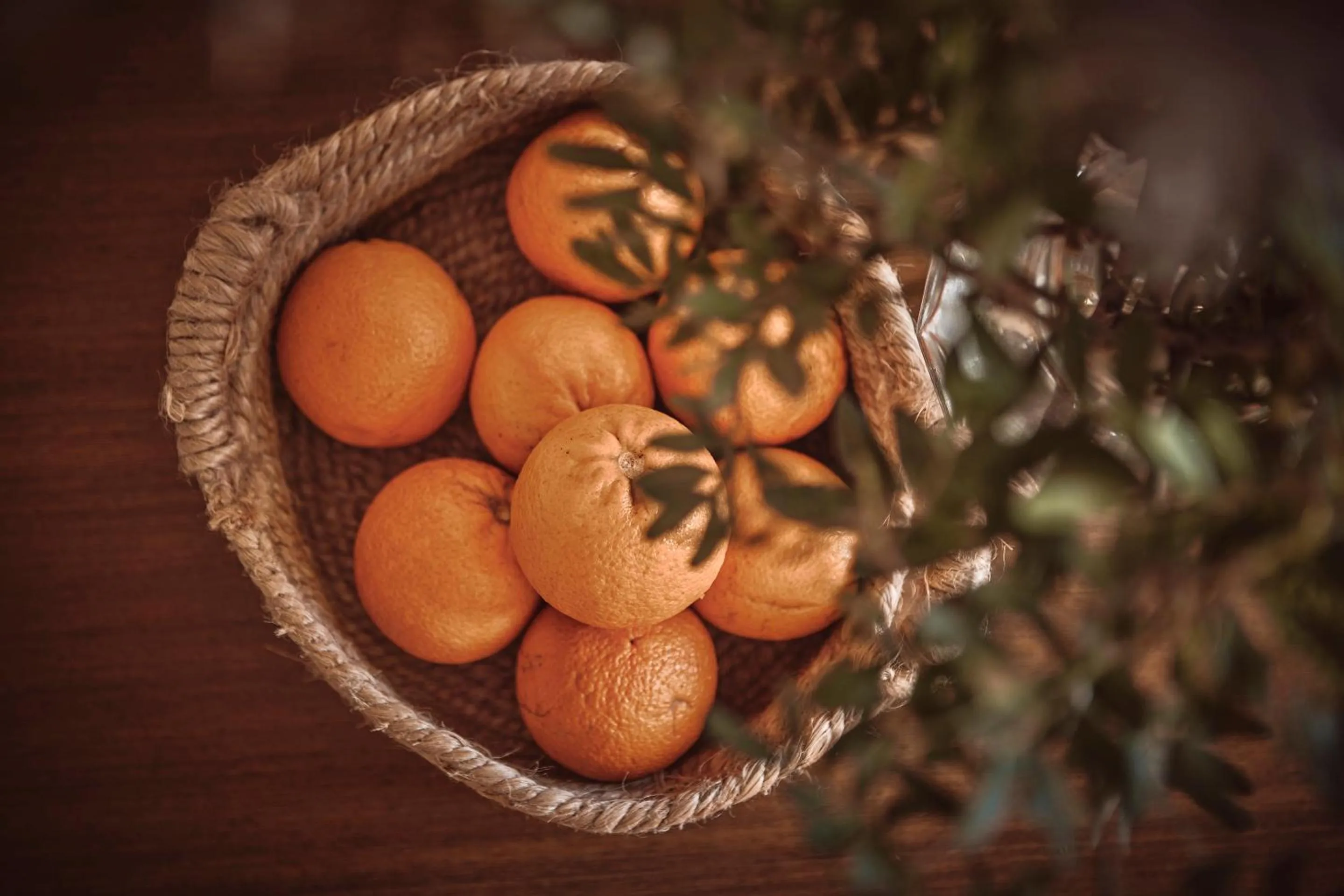 Decorative detail in Maristel Hotel & Spa - Adults Only