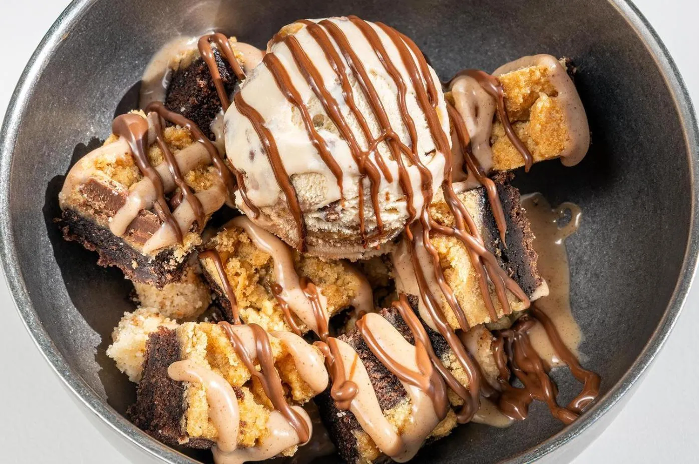 Pets in Port Alicante City & Beach