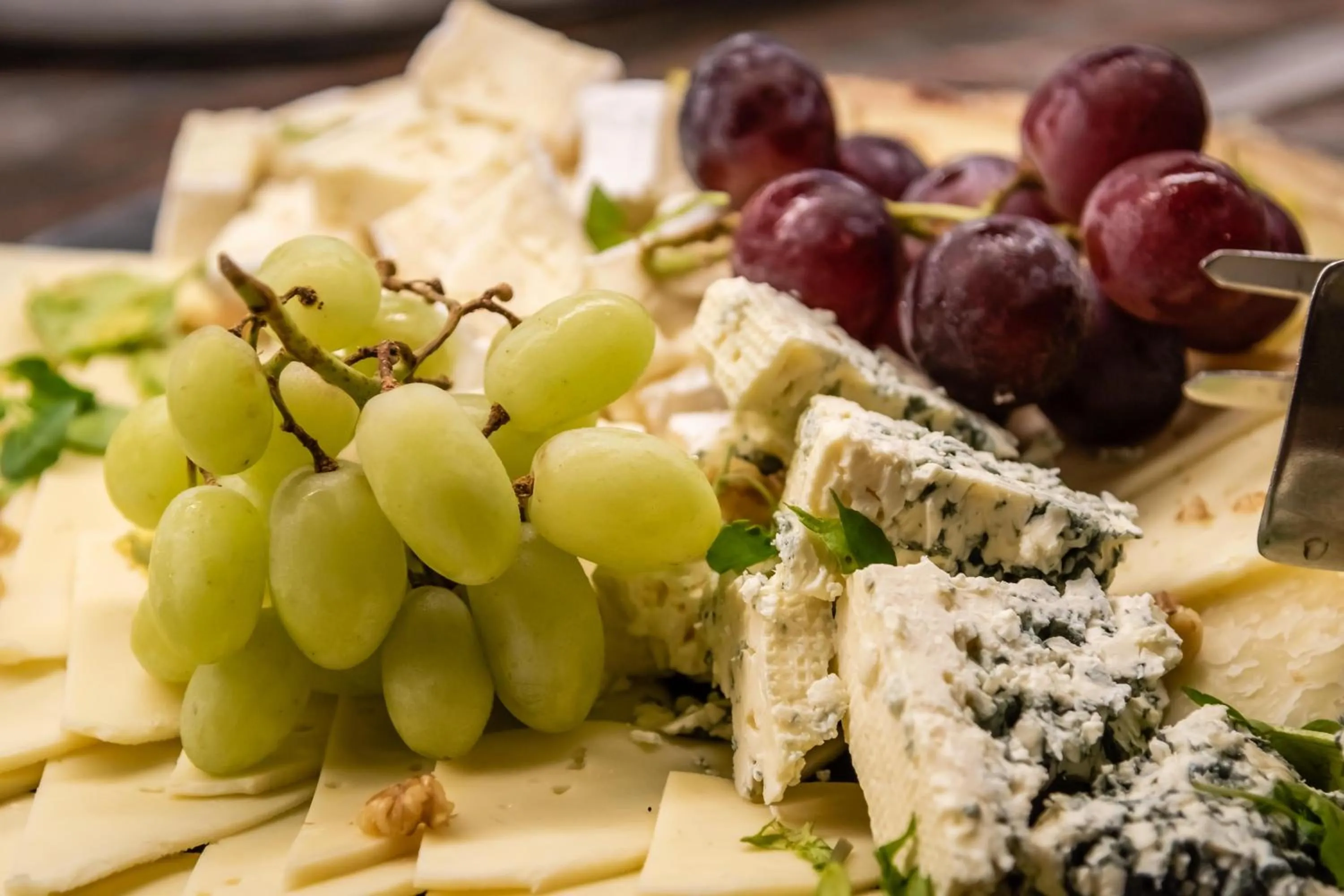 Pets in ALEGRIA Florida