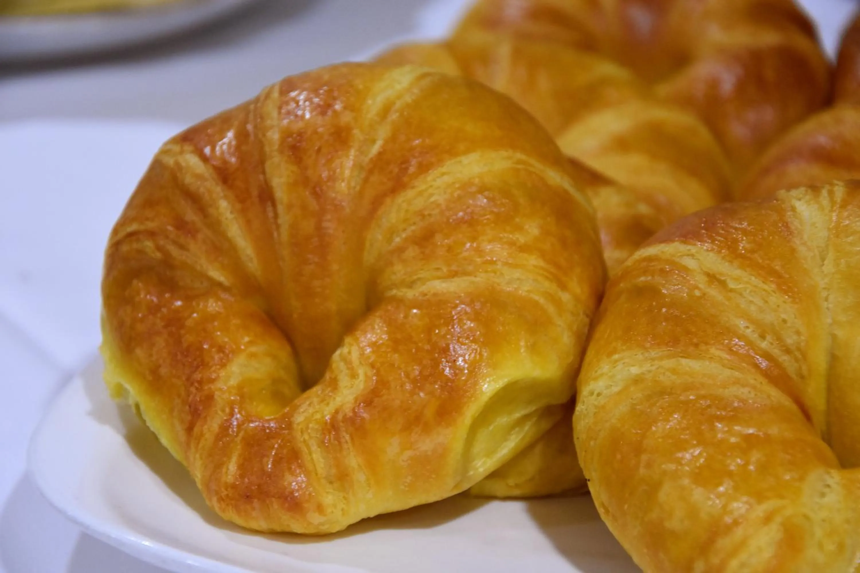 Buffet breakfast in SNÖ Hotel Bielsa