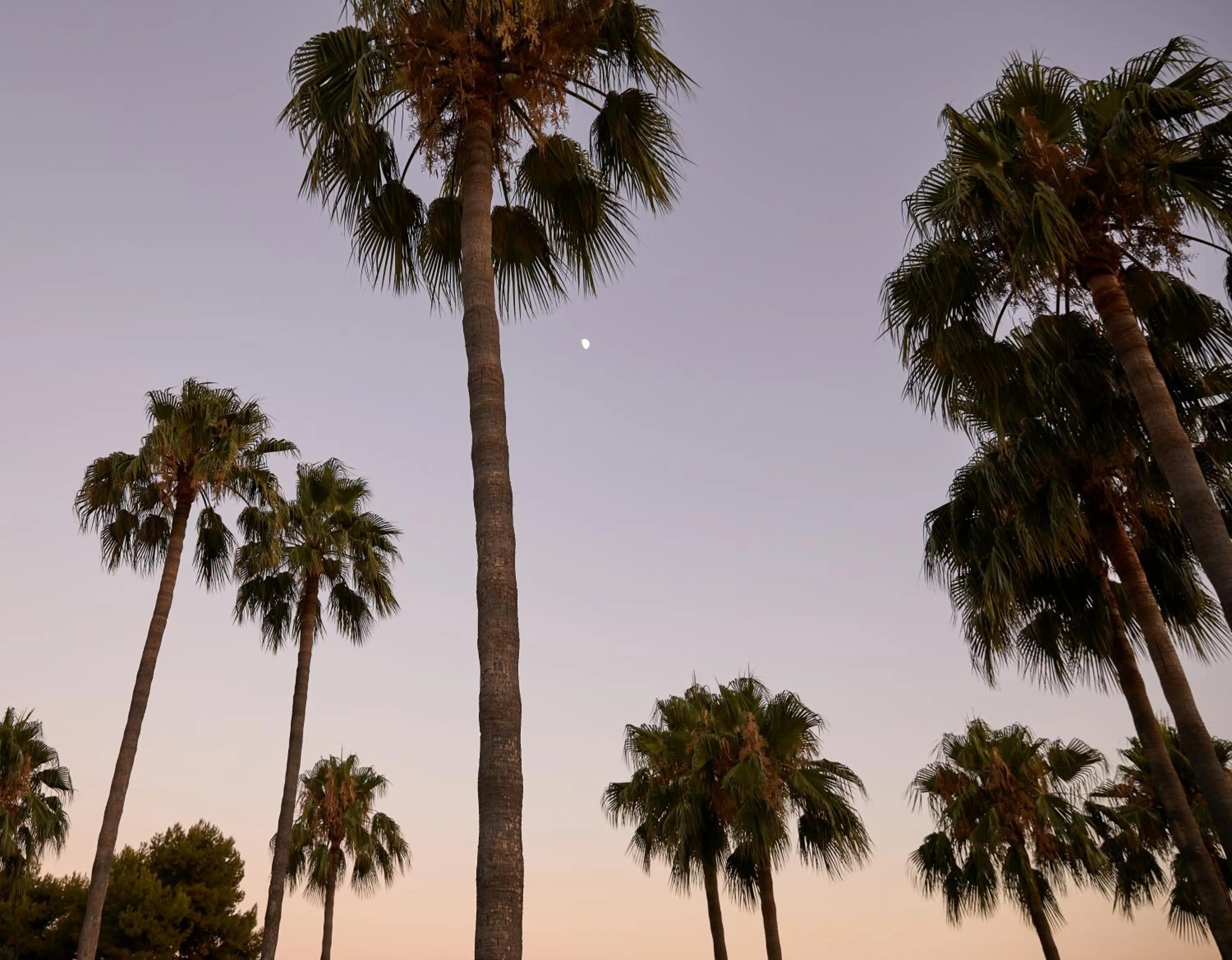 Natural landscape in Rio Real Golf & Hotel