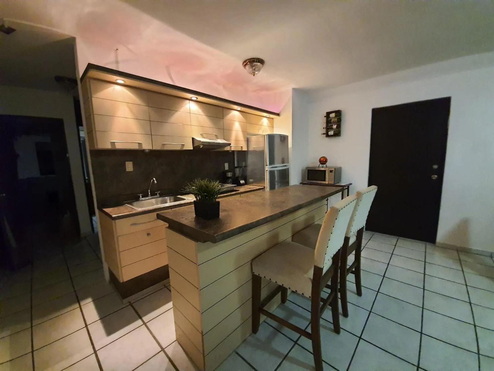 Kitchen or kitchenette in Hotel Zona Dorada