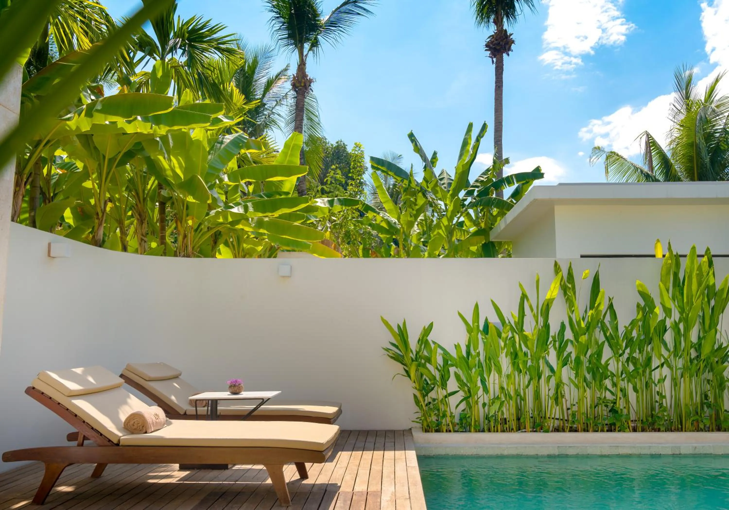 Garden in WAKA VILLA Private Pool Resort & Spa - Adults Only