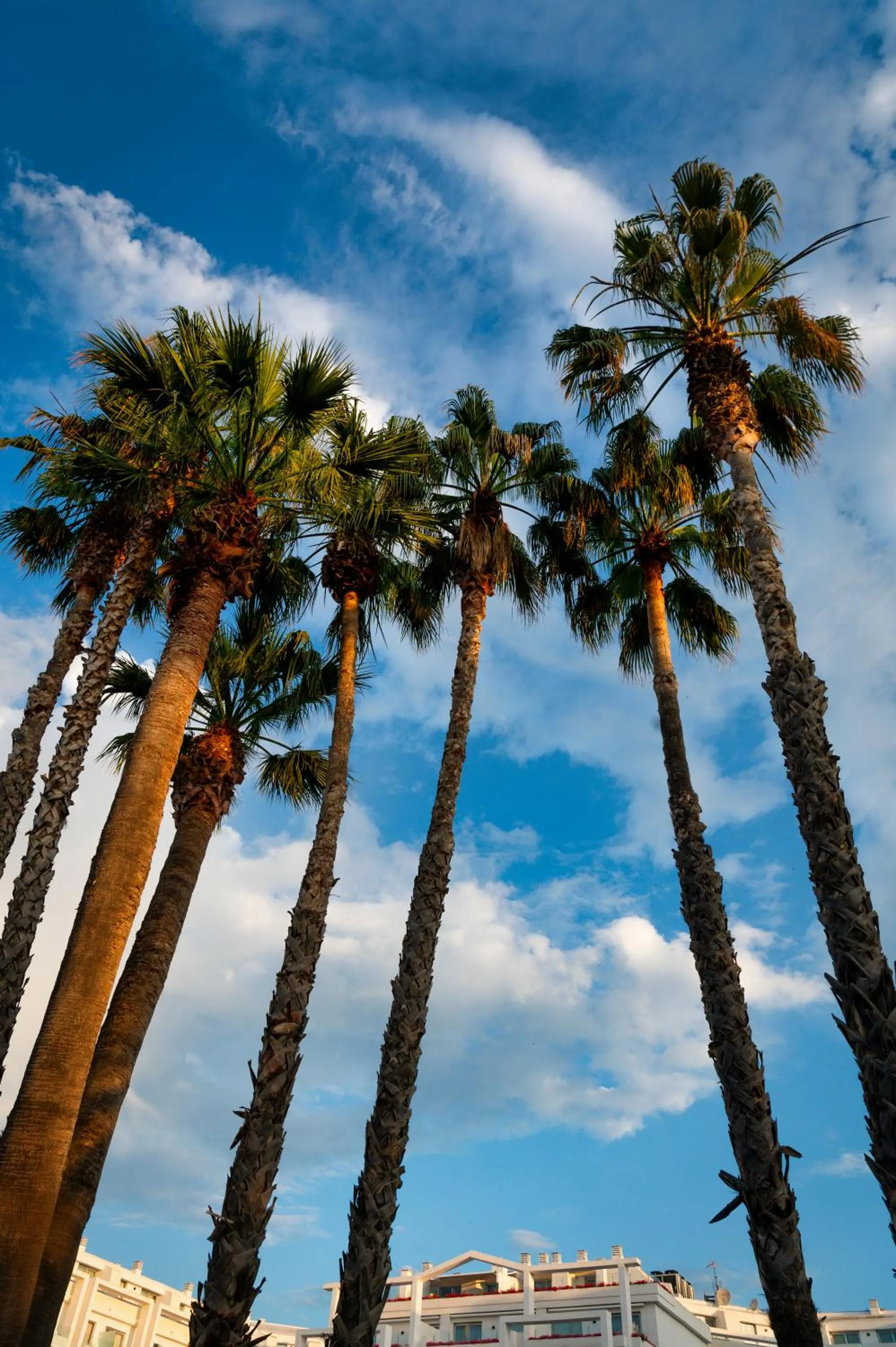 Natural landscape in AQUA Hotel Aquamarina & Spa