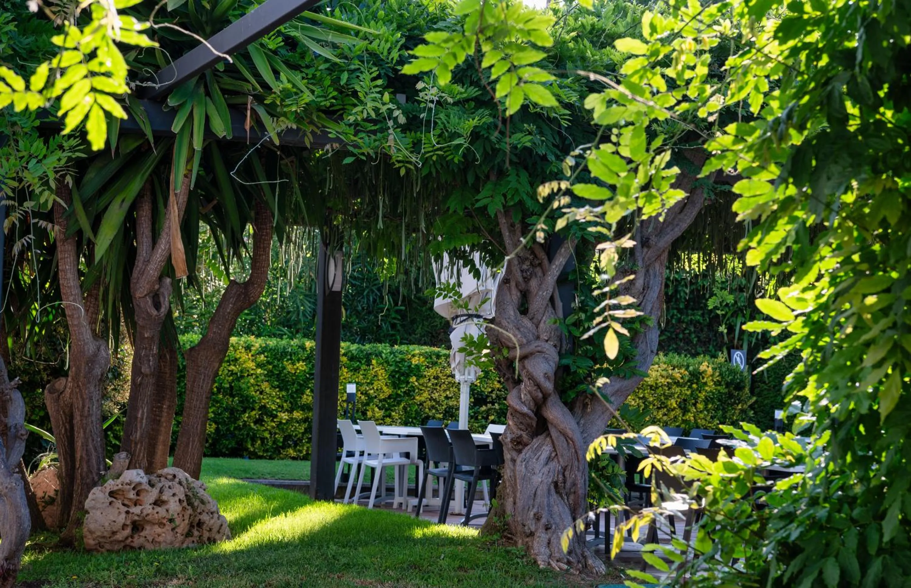 Garden in AQUA Hotel Aquamarina & Spa