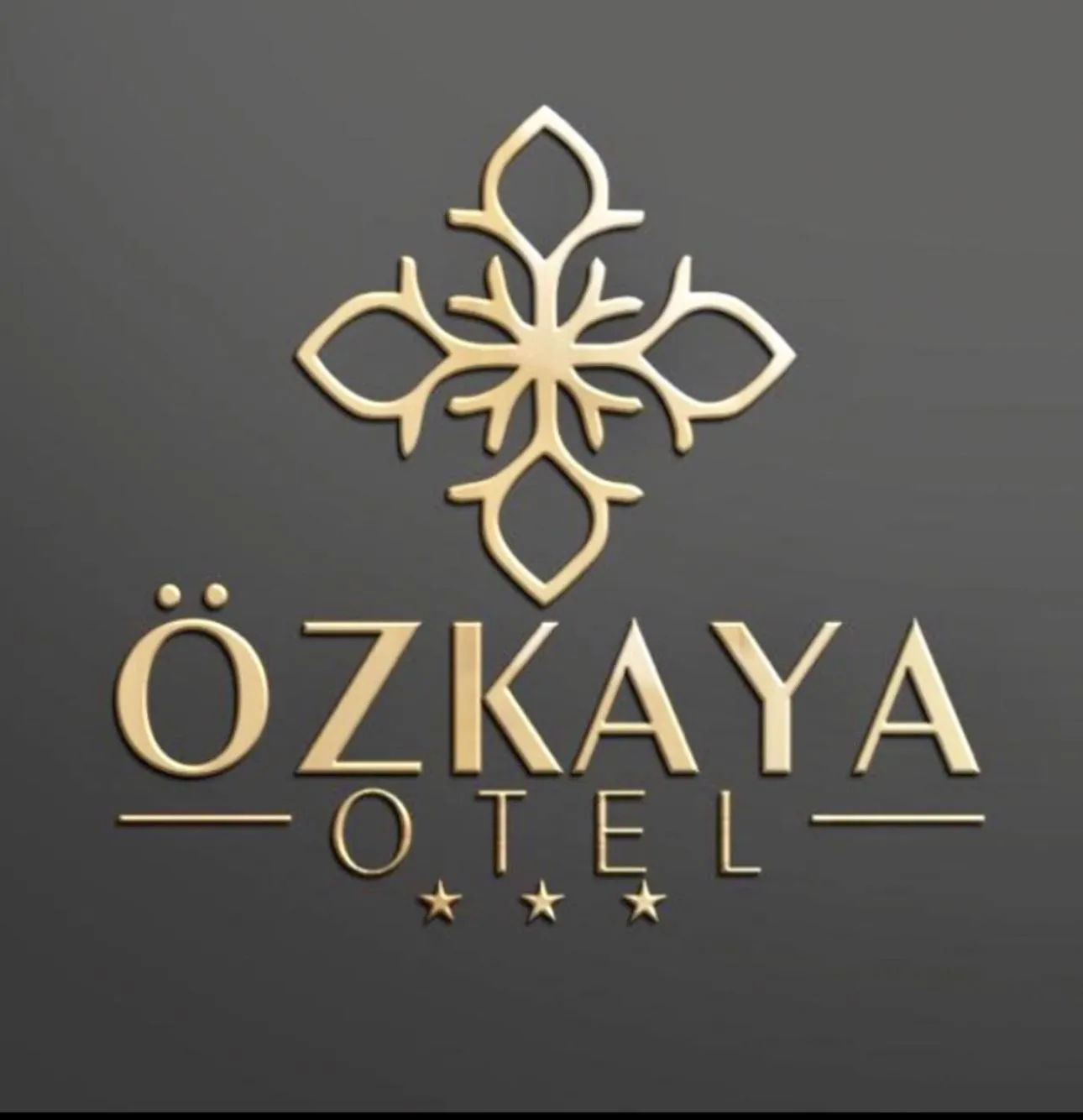 Özkaya hotel