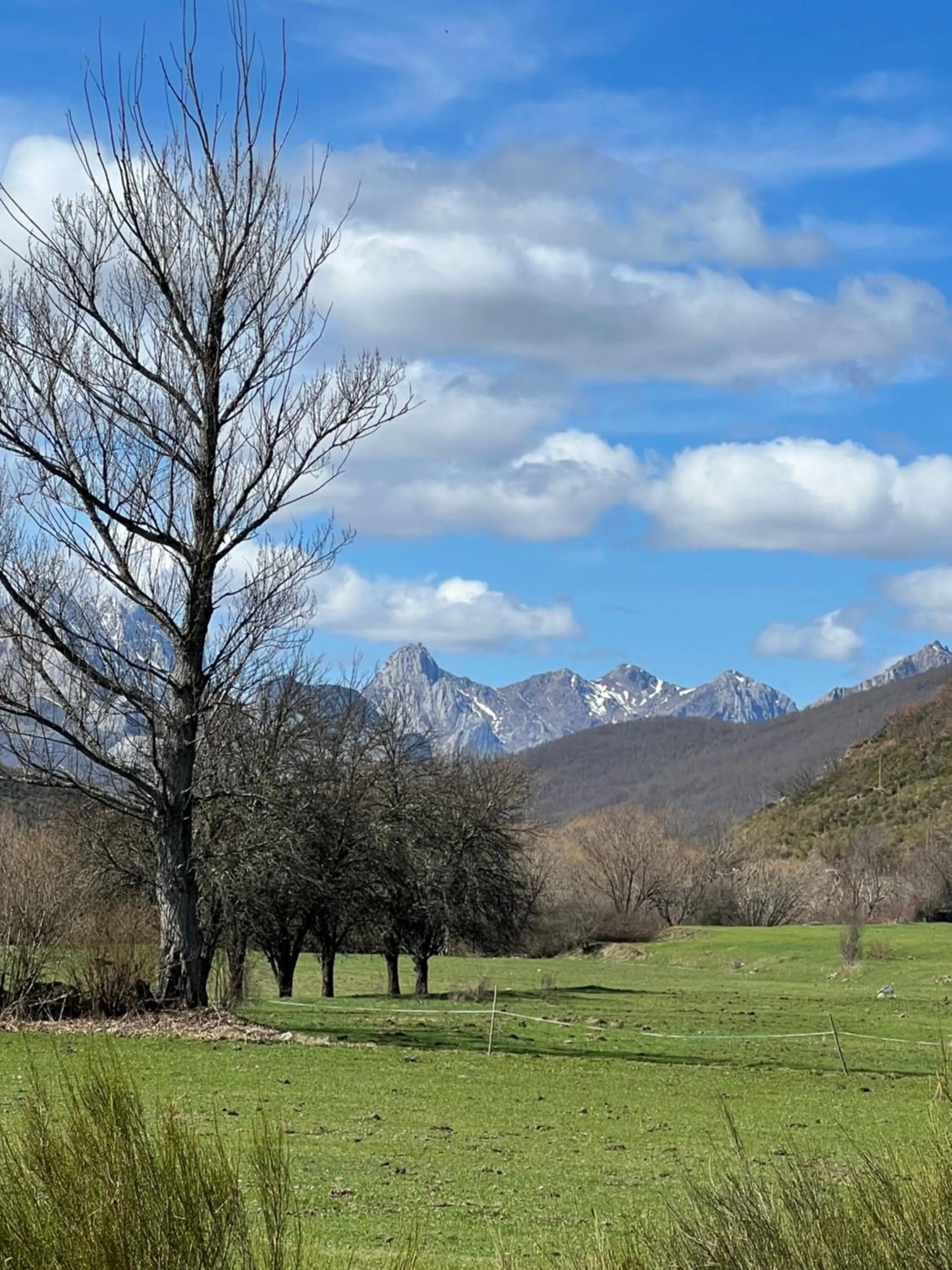 Property building in Tierra de la Reina