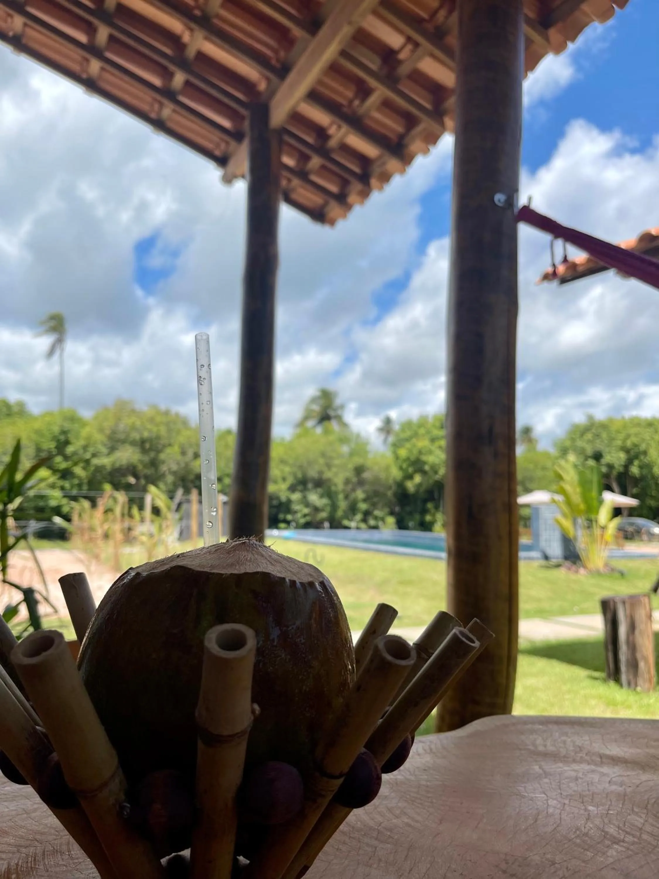 Garden view in Pousada Corália