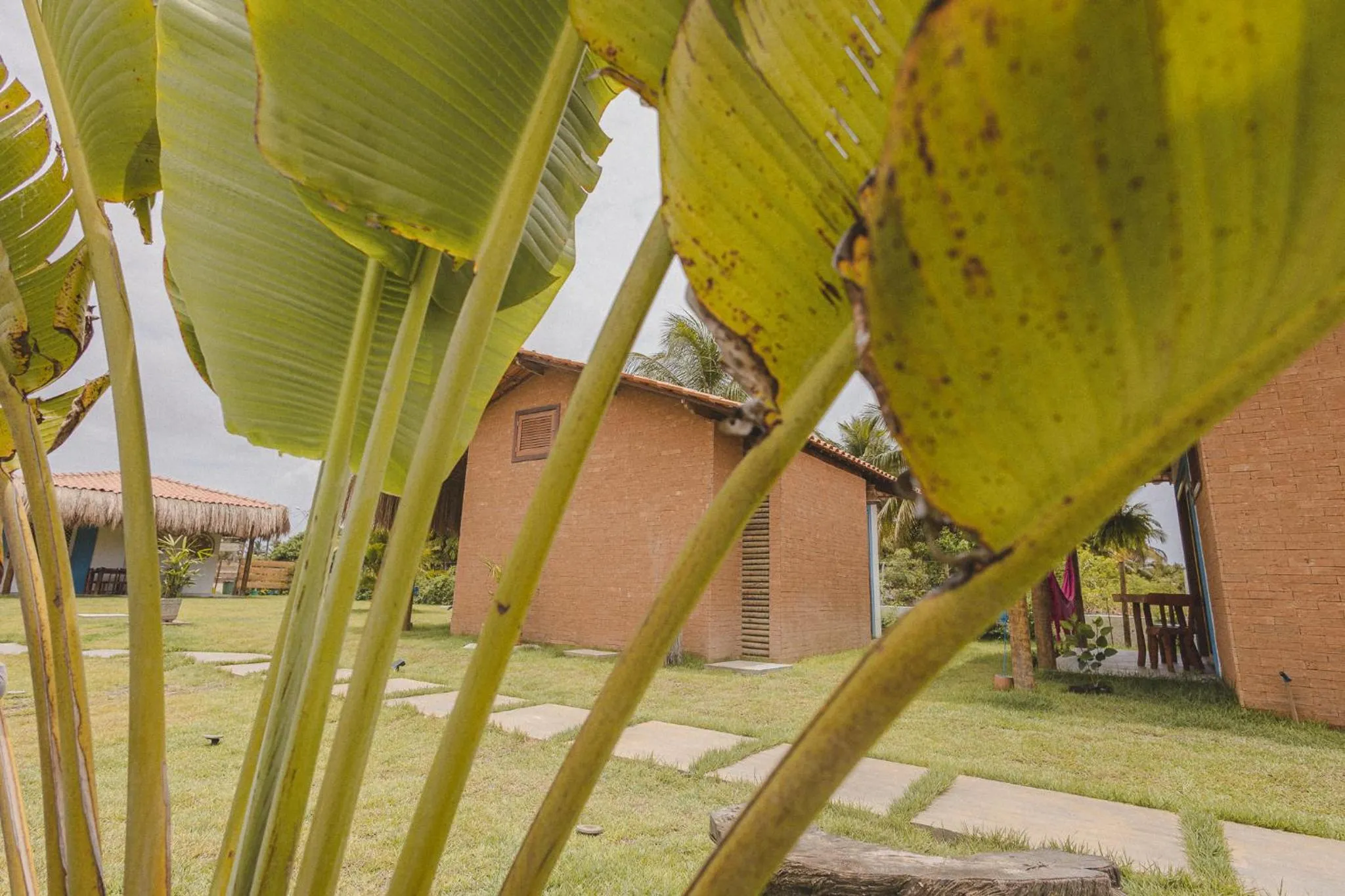 Garden in Pousada Corália