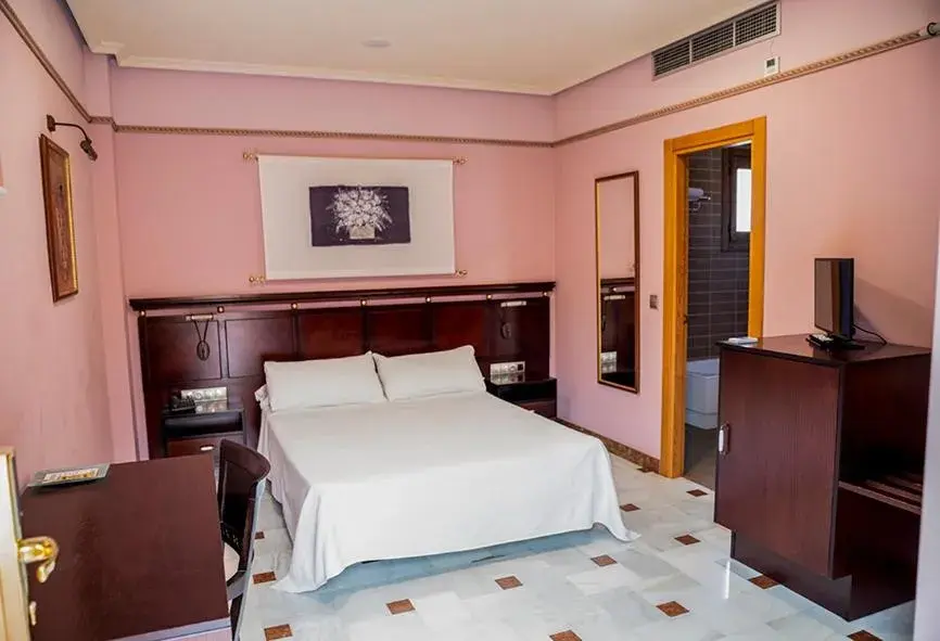 Double Room in Hotel Don Miguel Plaza Double Room in Hotel Don Miguel Plaza
