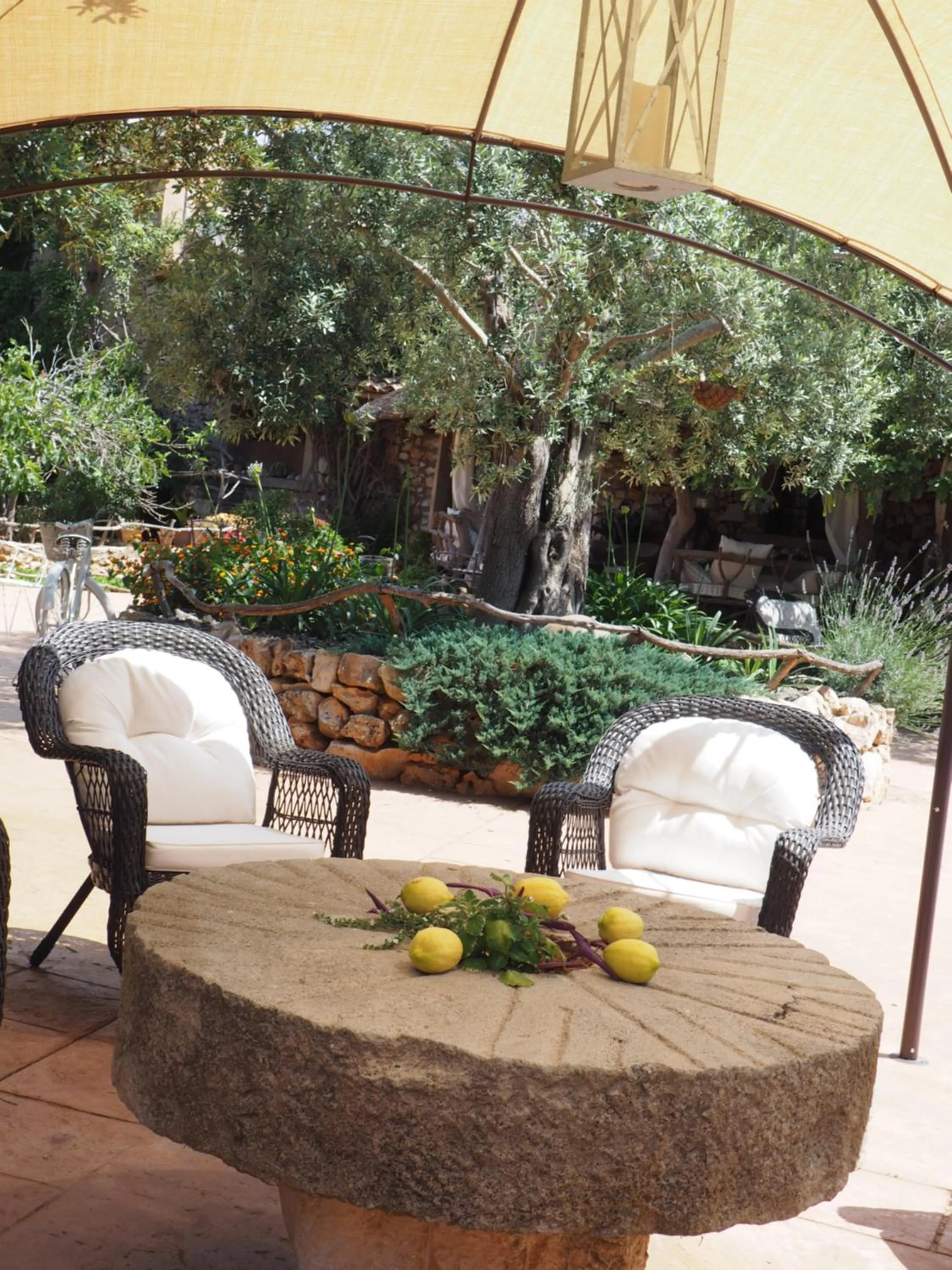 Patio in Son Mercadal