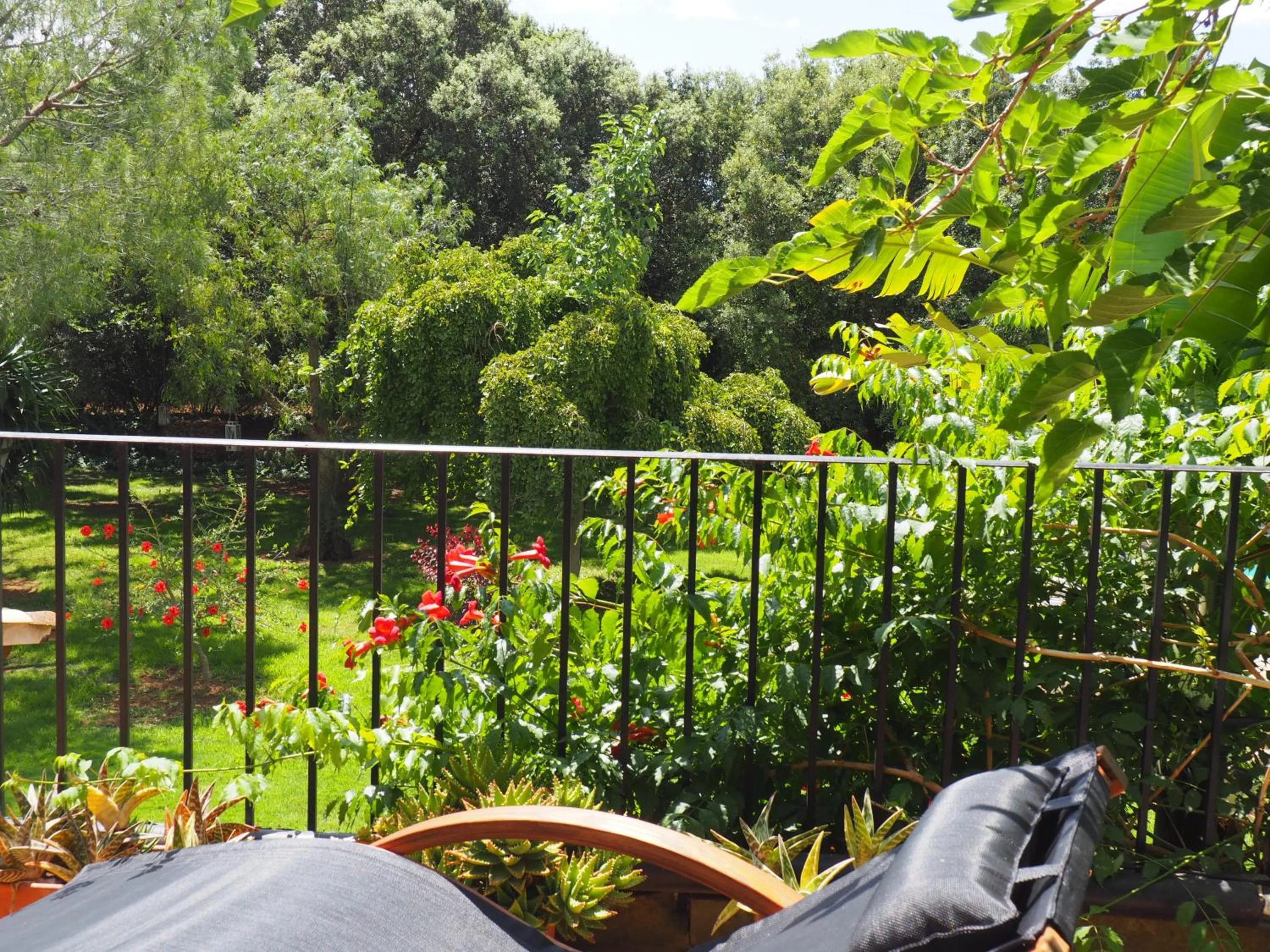 Balcony/Terrace in Son Mercadal