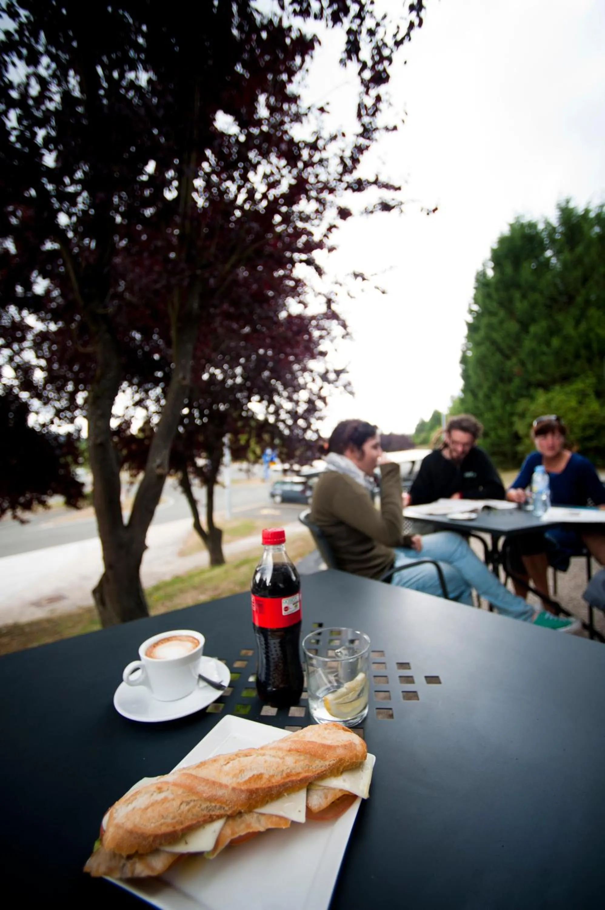 Garden in AS Hoteles Altube