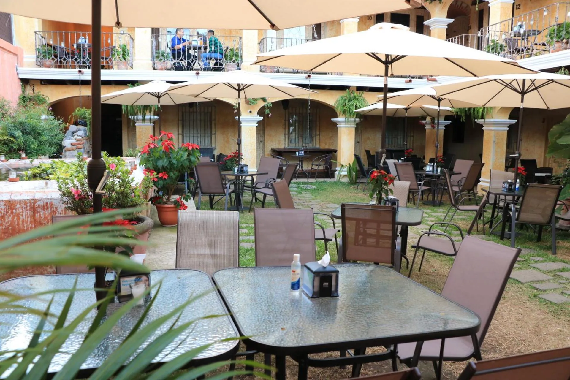 Garden in Hotel Casa Realeza