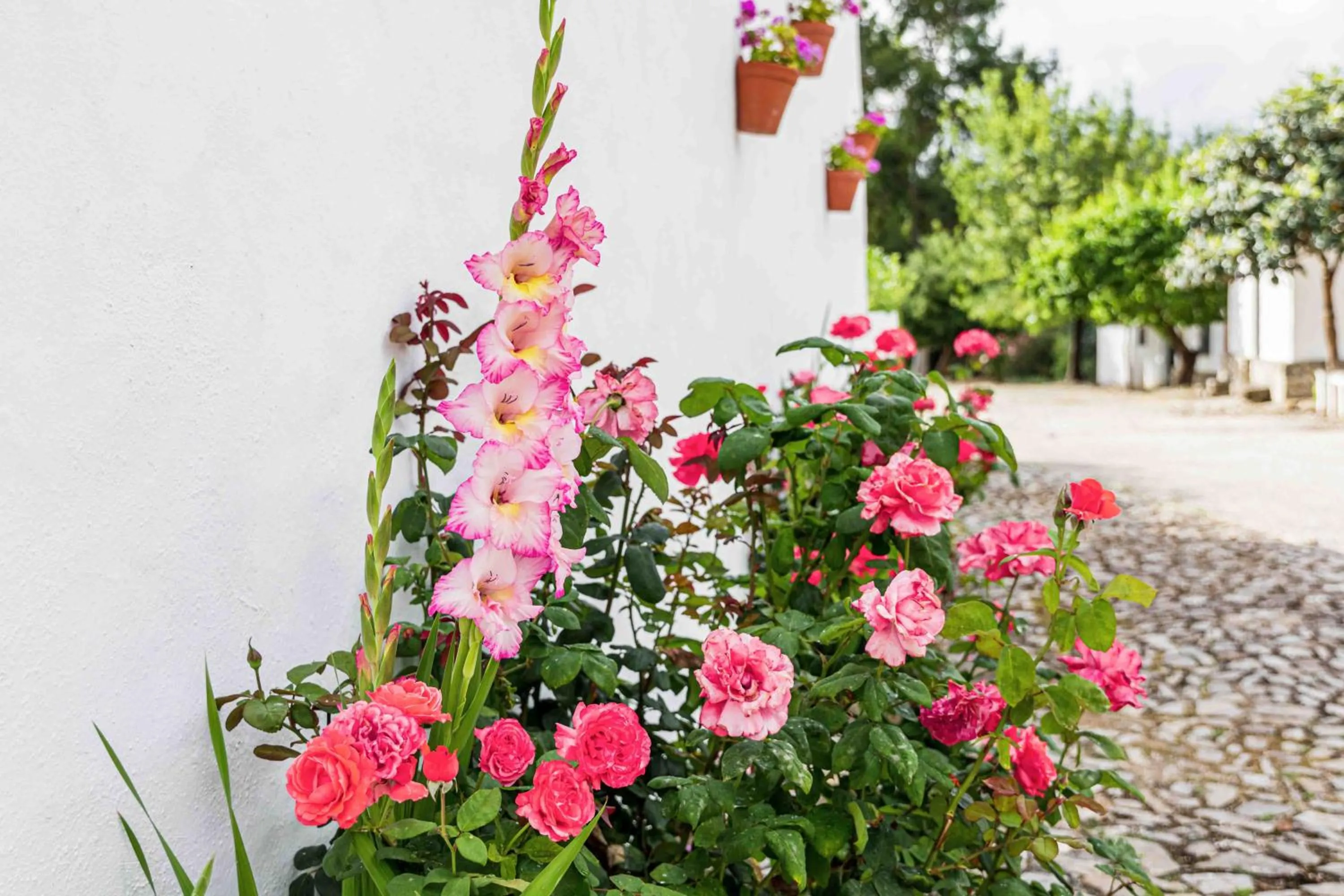 Garden in Hotel Rural El Horcajo de Ronda