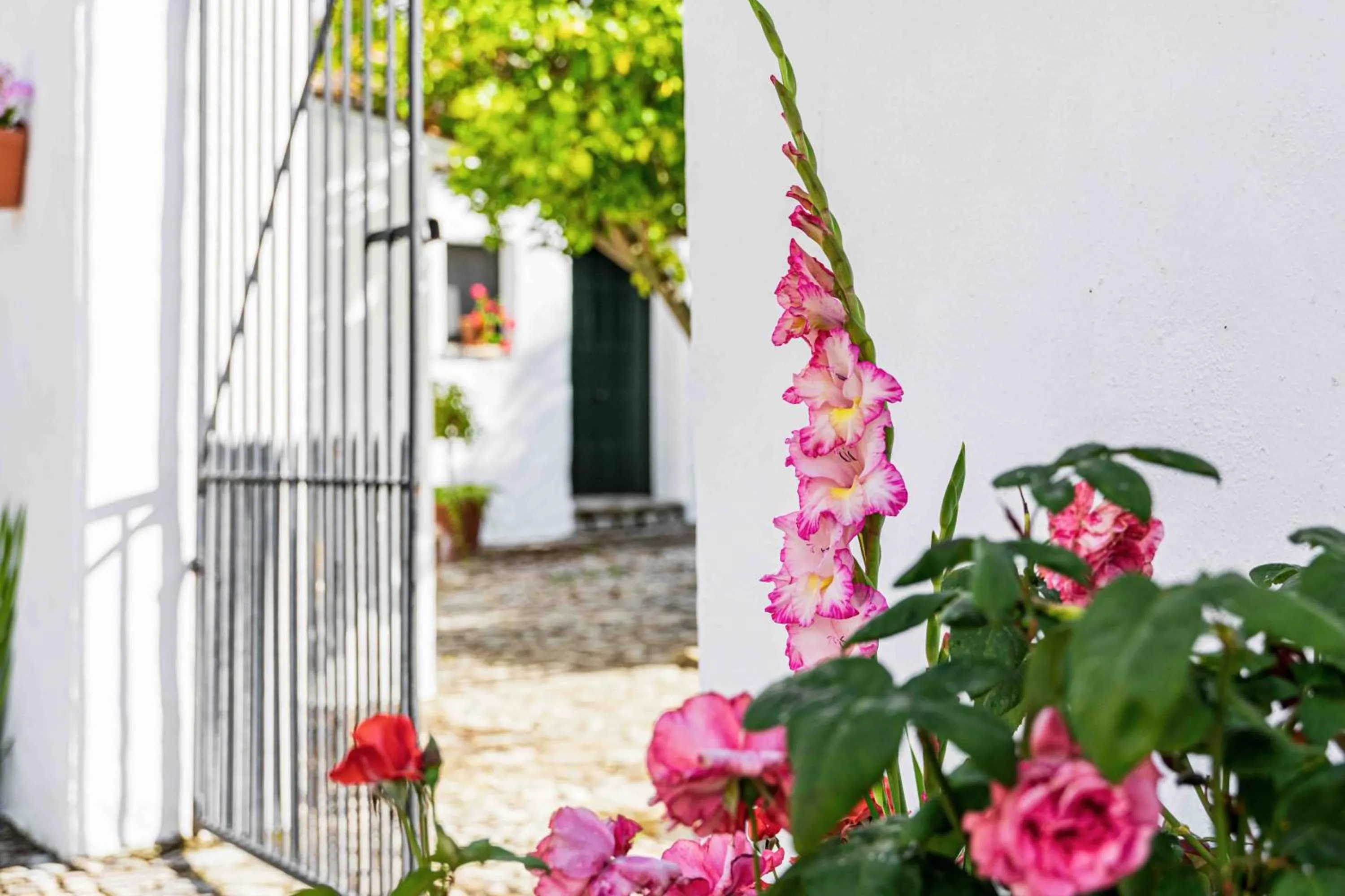 Off site in Hotel Rural El Horcajo de Ronda