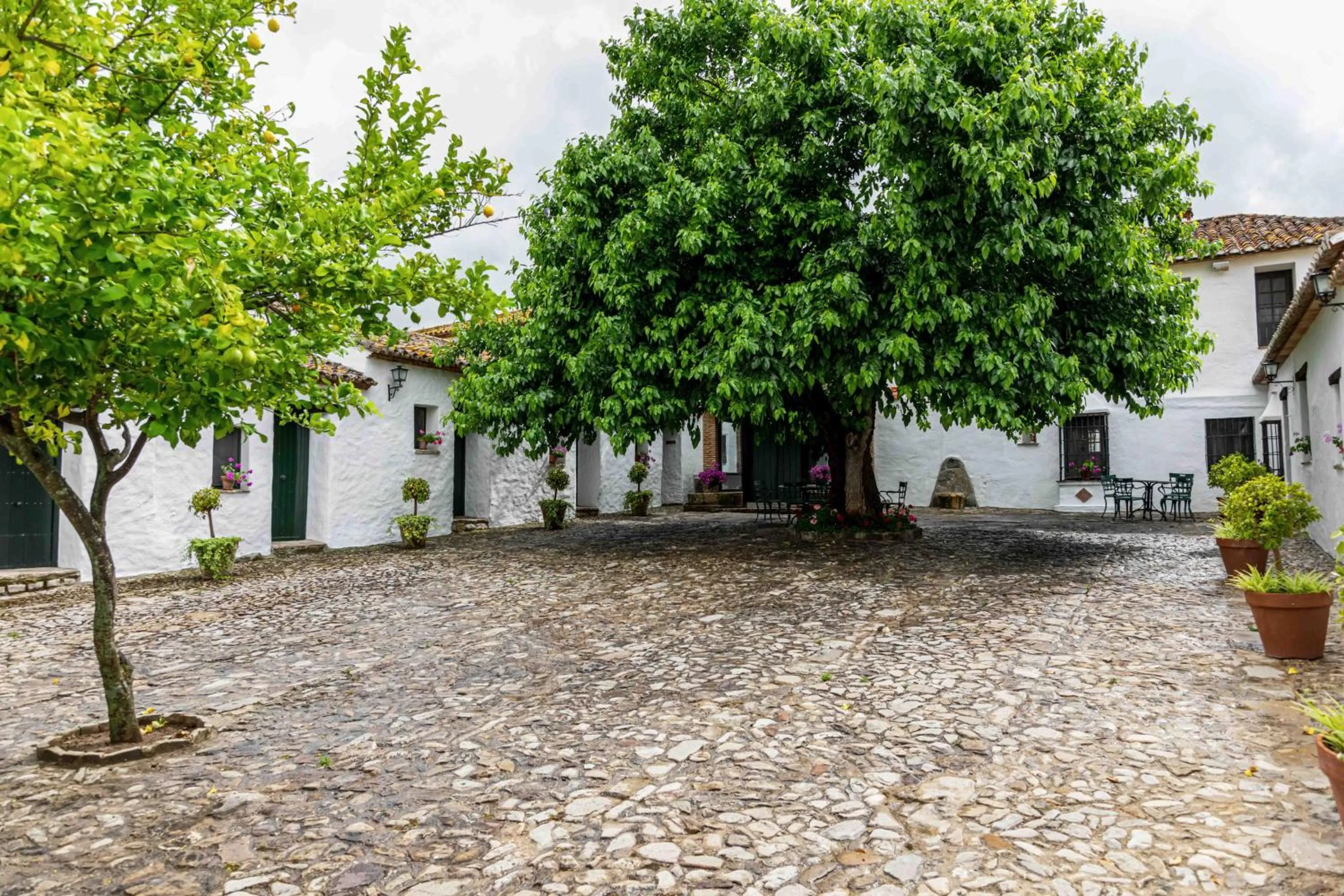 Property building in Hotel Rural El Horcajo de Ronda