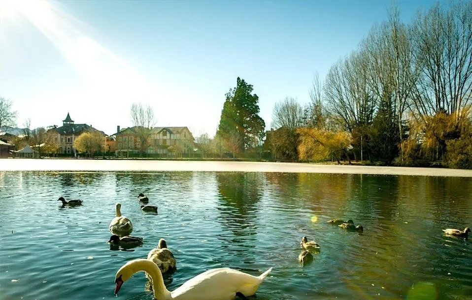 Area and facilities in Hotel Del Lago