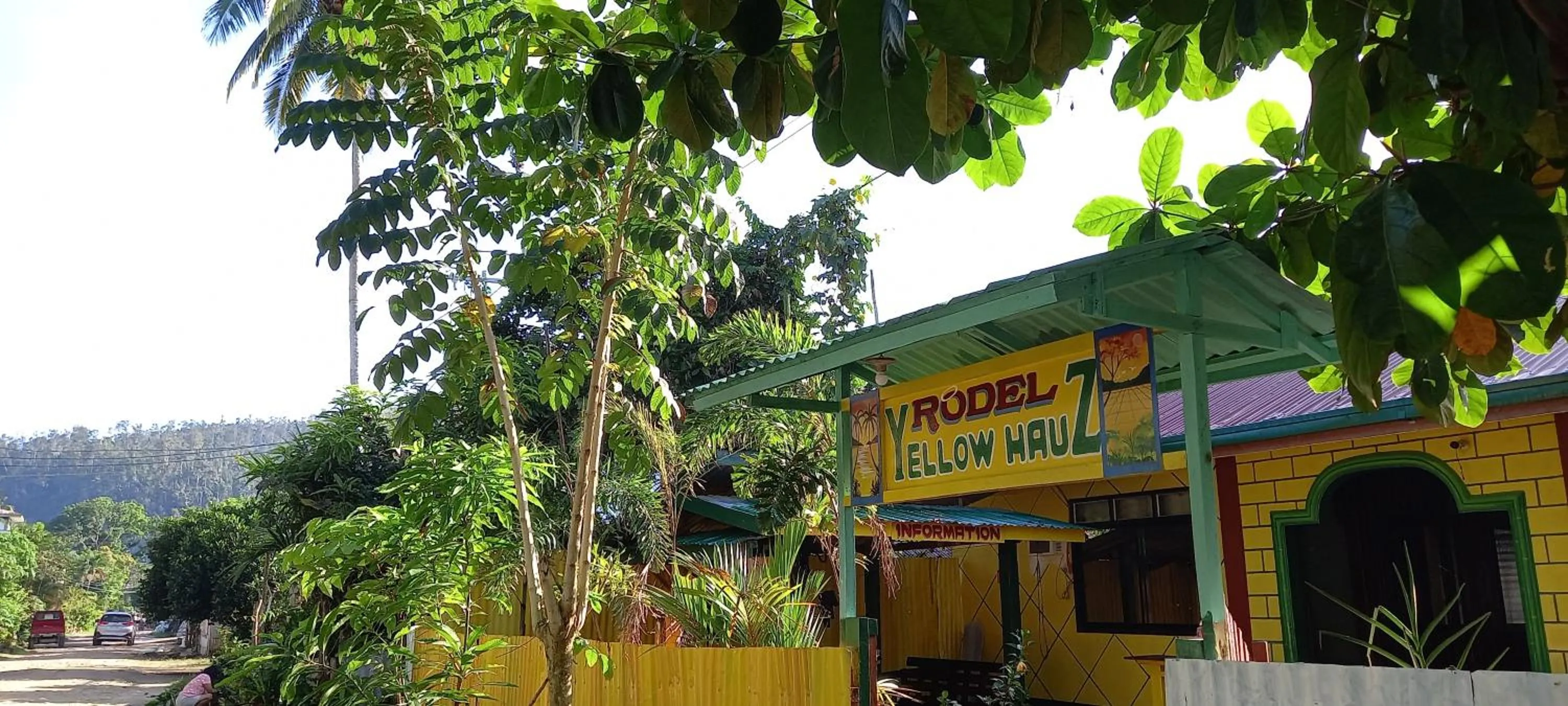 Rodel Yellow Hauz
