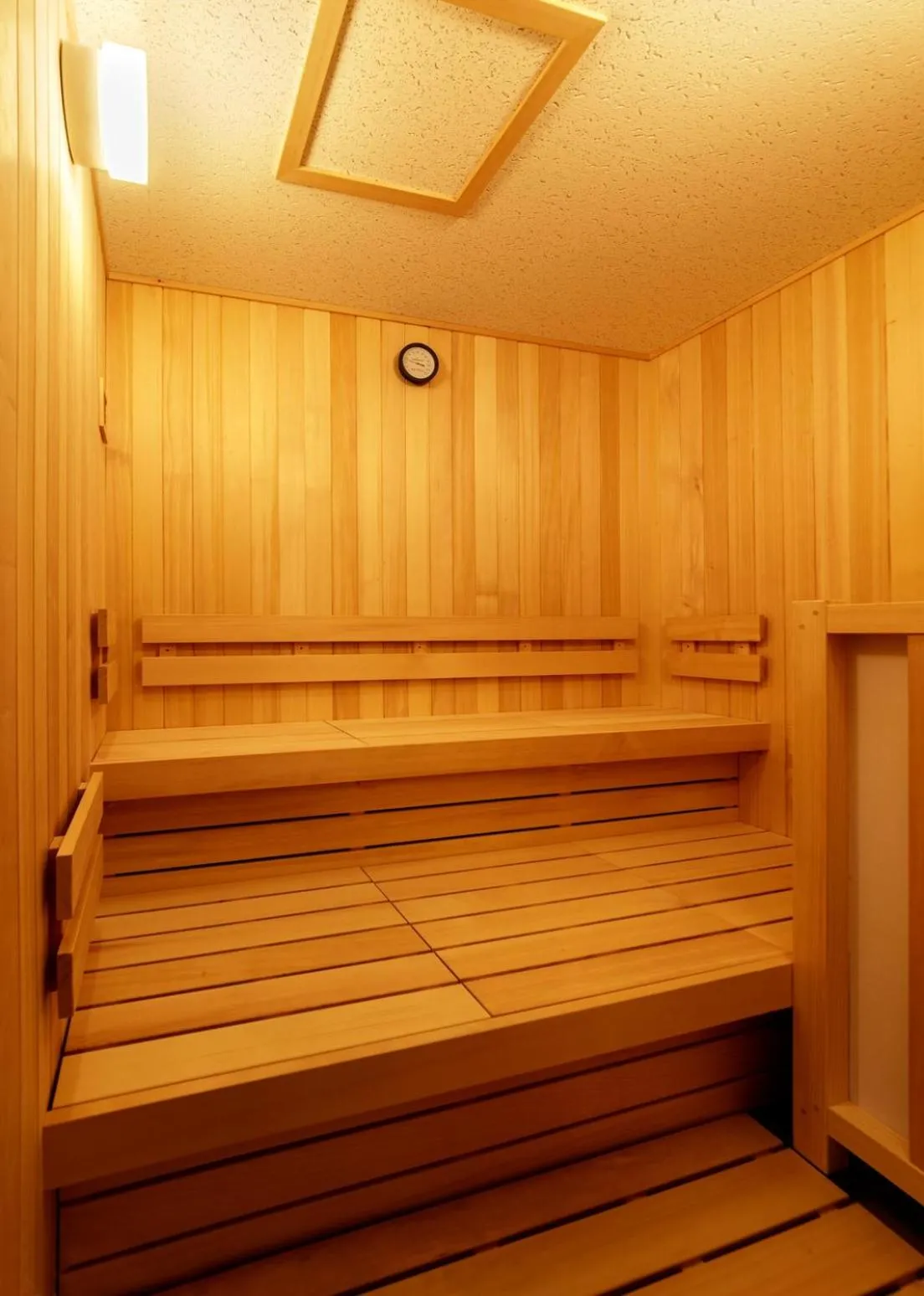 Sauna in HOTEL VISCHIO TOYAMA