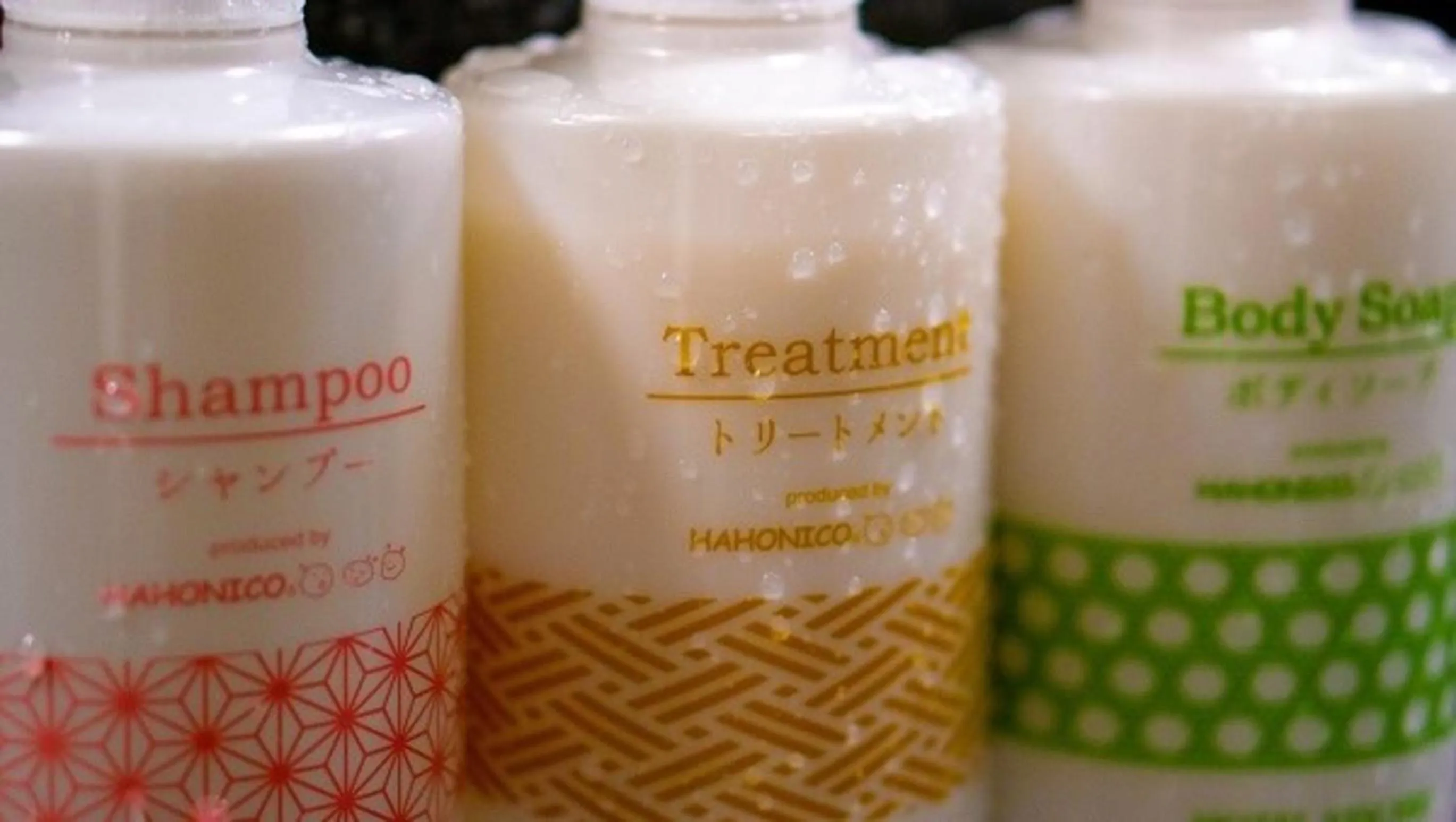 Other in HOTEL VISCHIO TOYAMA