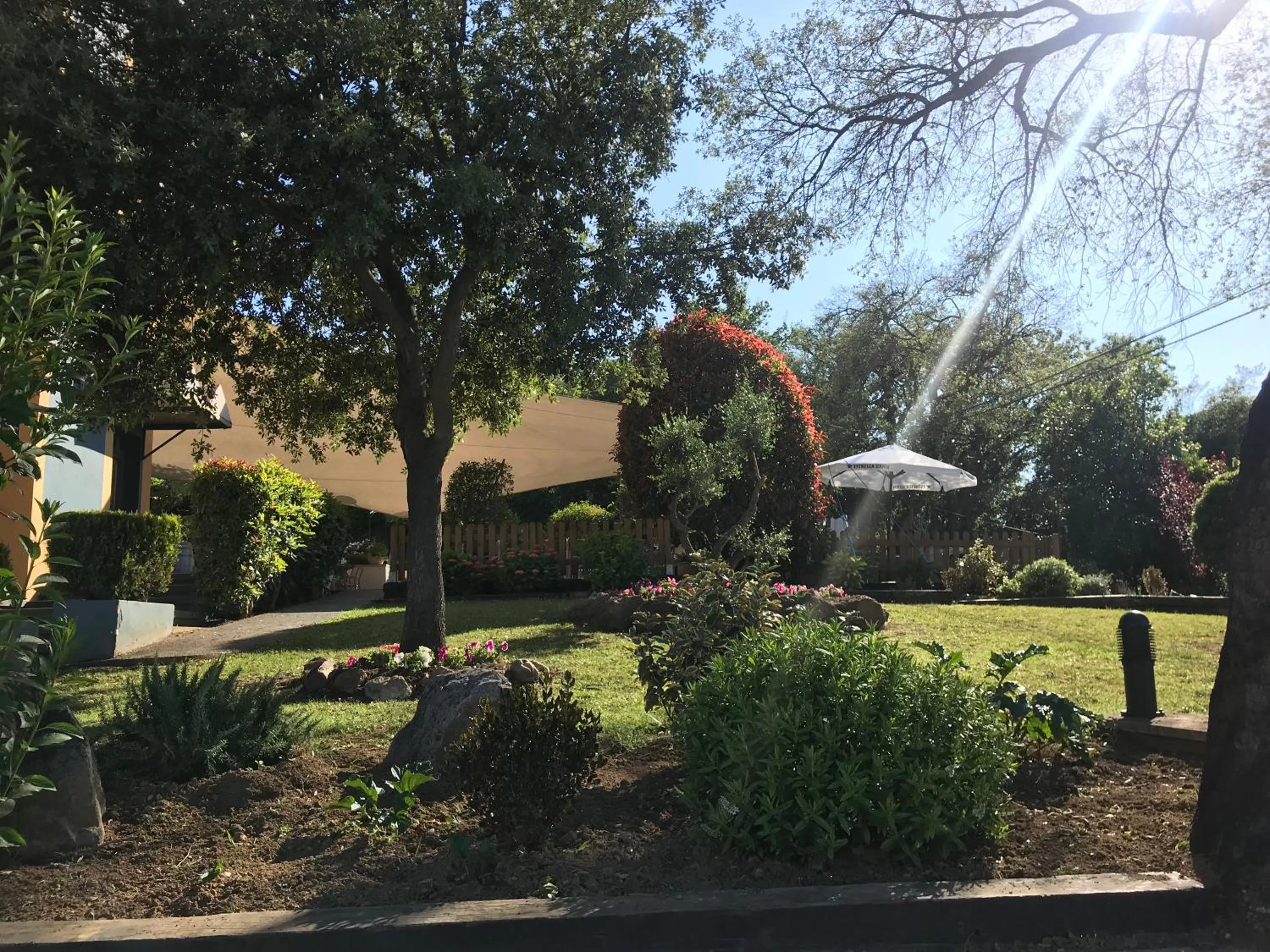 Garden in Hotel Esteba