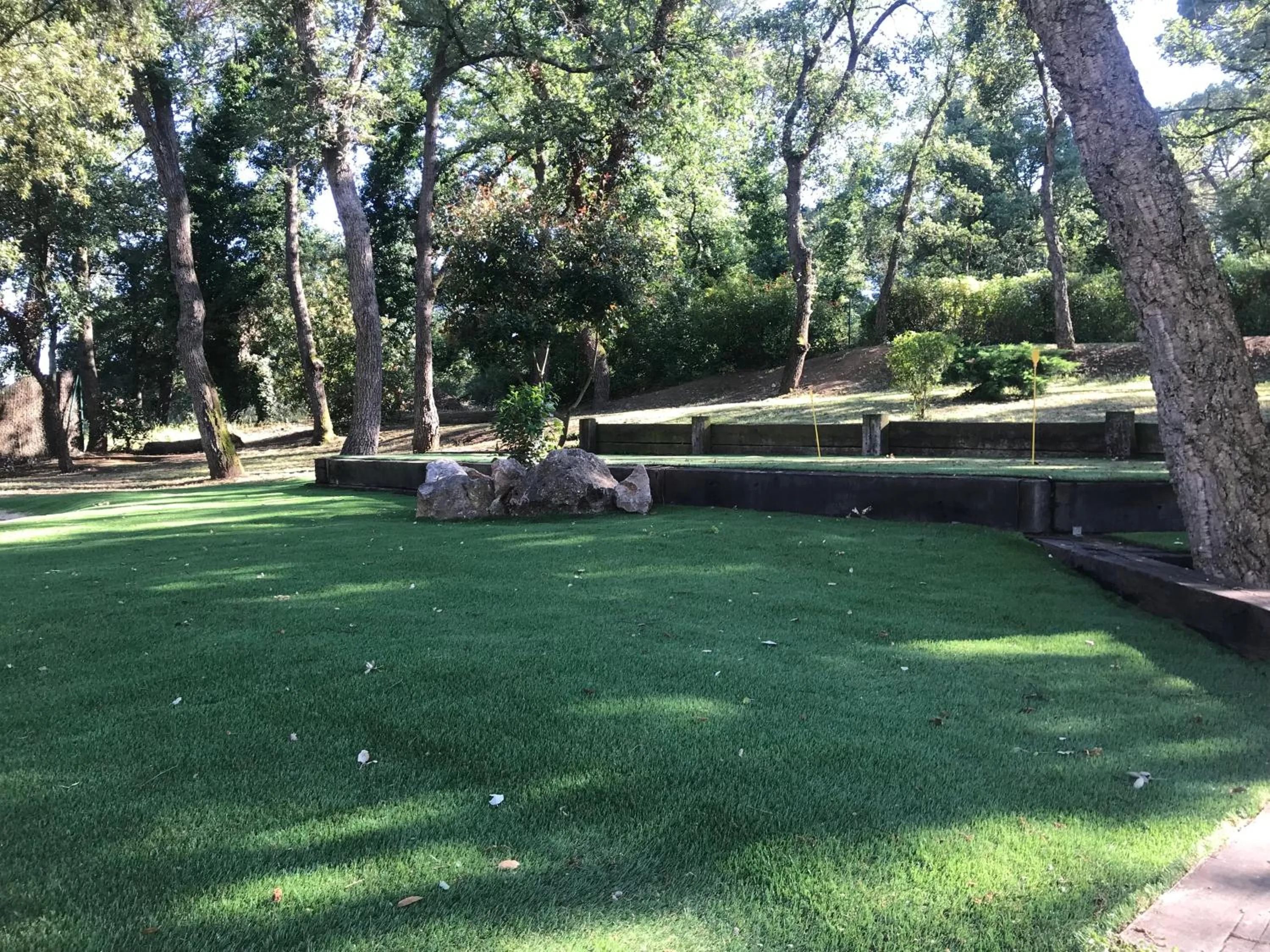 Garden in Hotel Esteba
