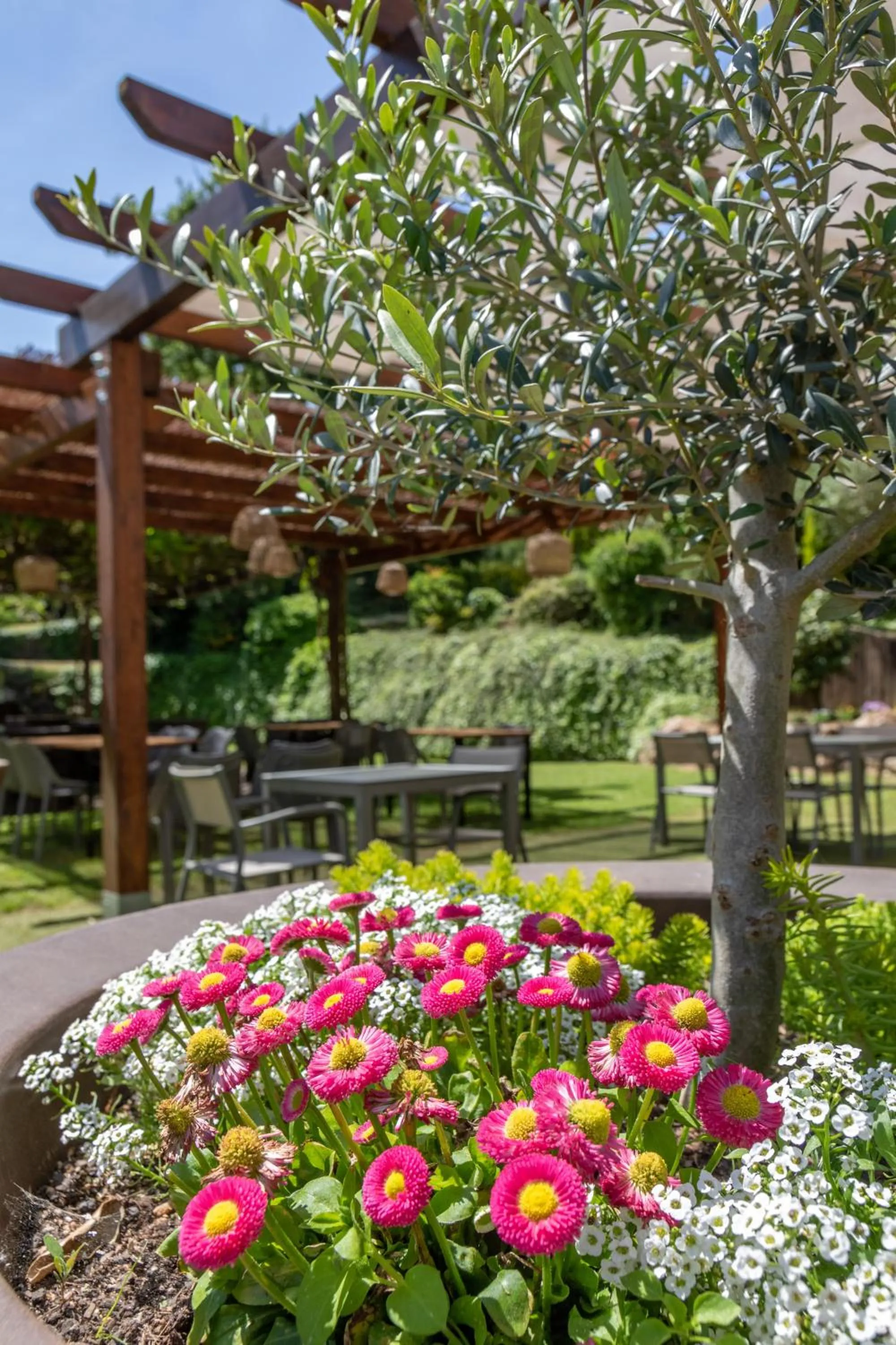 Property building in Hotel Esteba