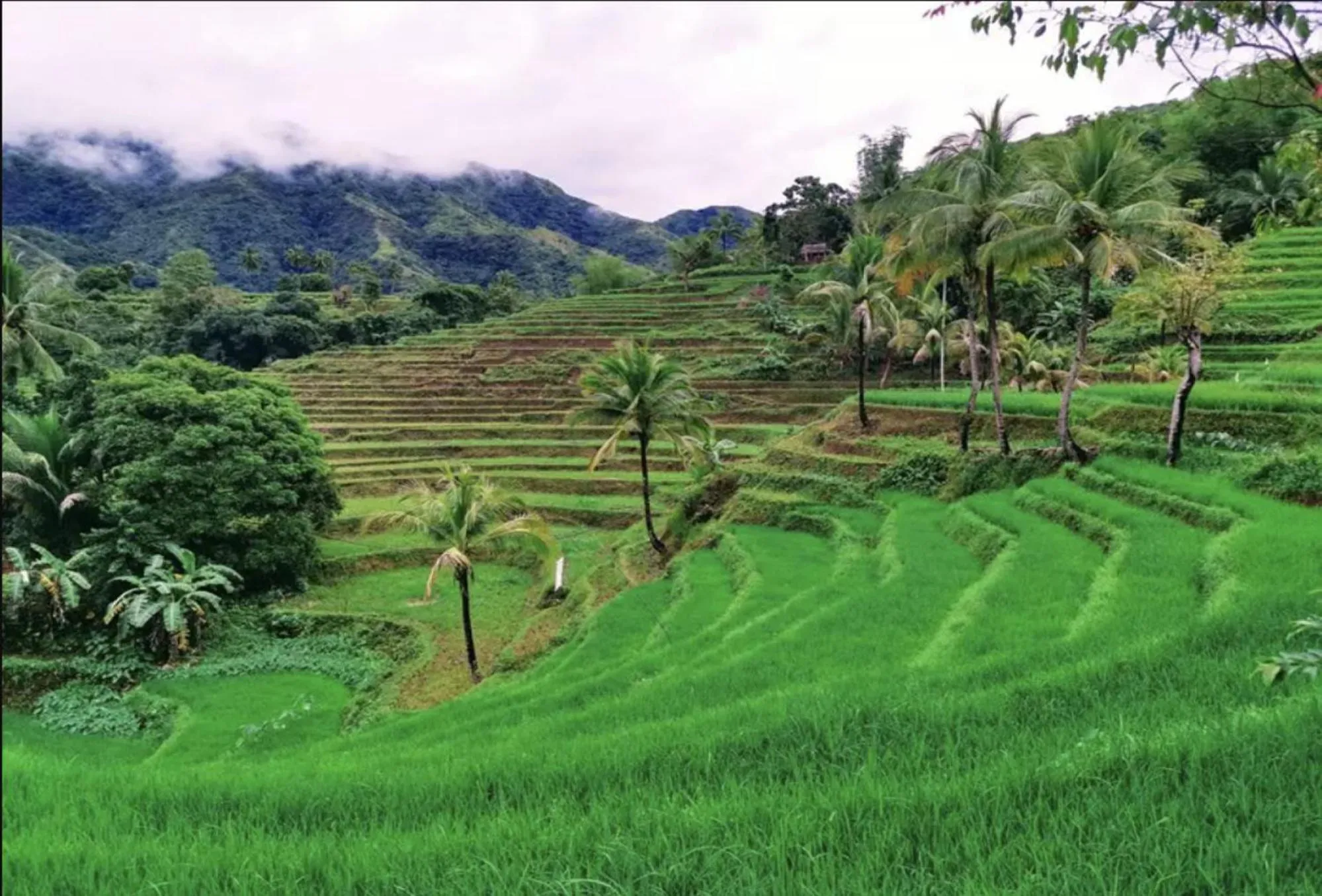 Nearby landmark in RedDoorz @ Golden Travellers Inn Antique