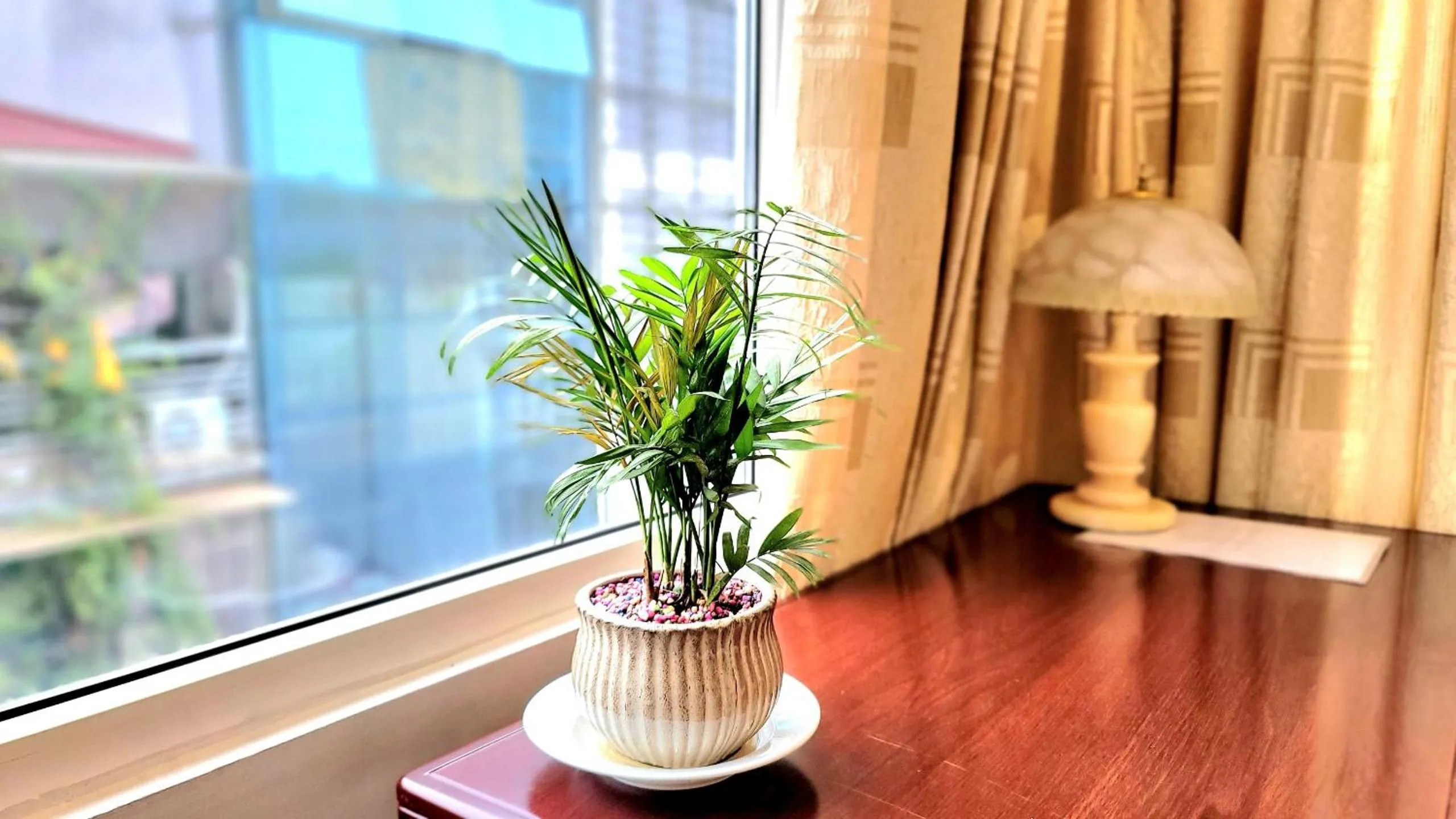 hair dresser in Red Building - Hotel - Hà Nội