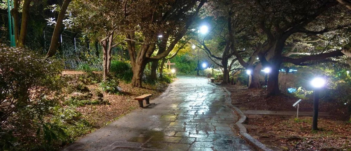 Nearby landmark in Hotel The Grang Seogwipo