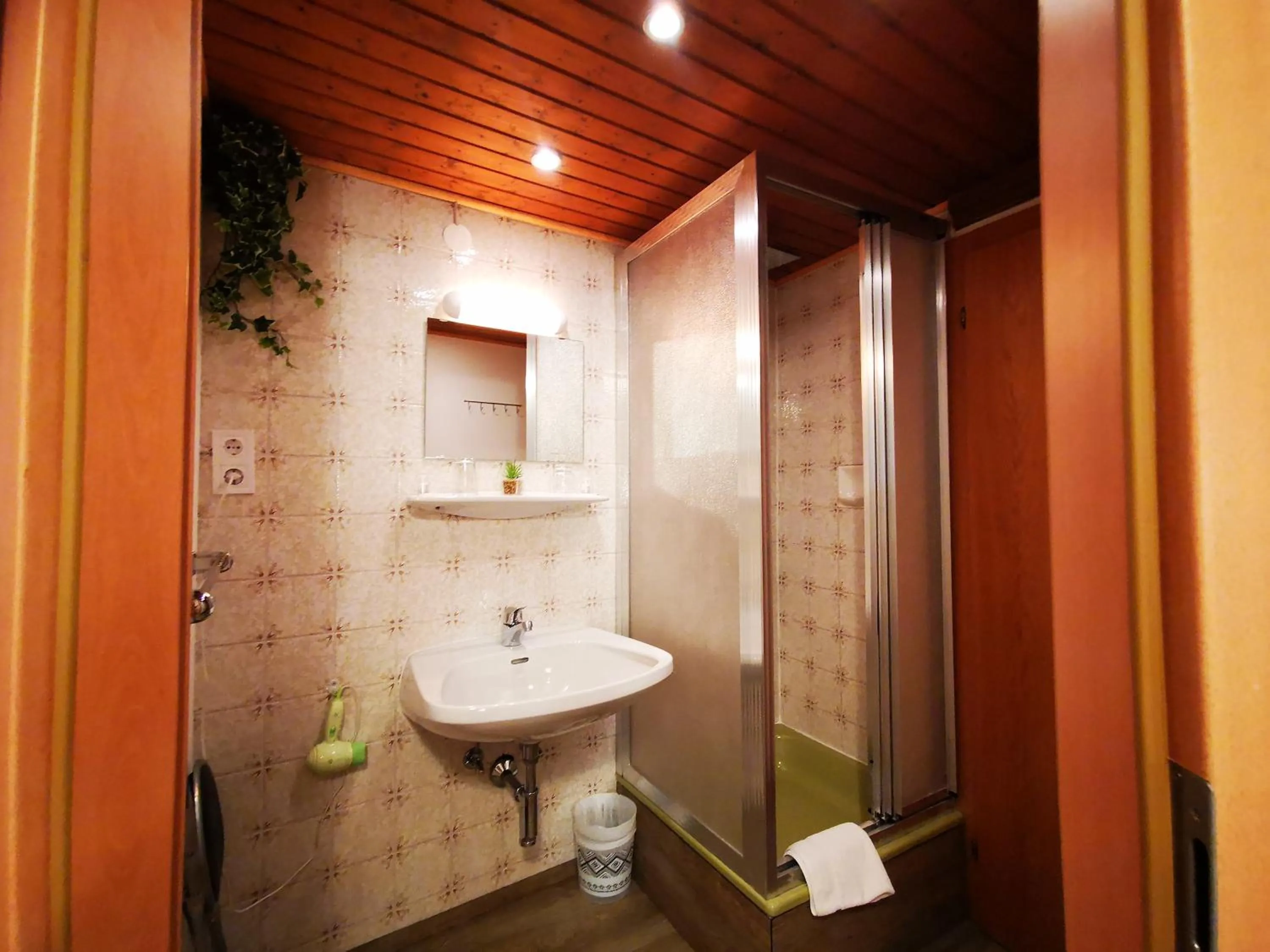 Shower in Gasthof Geronimo