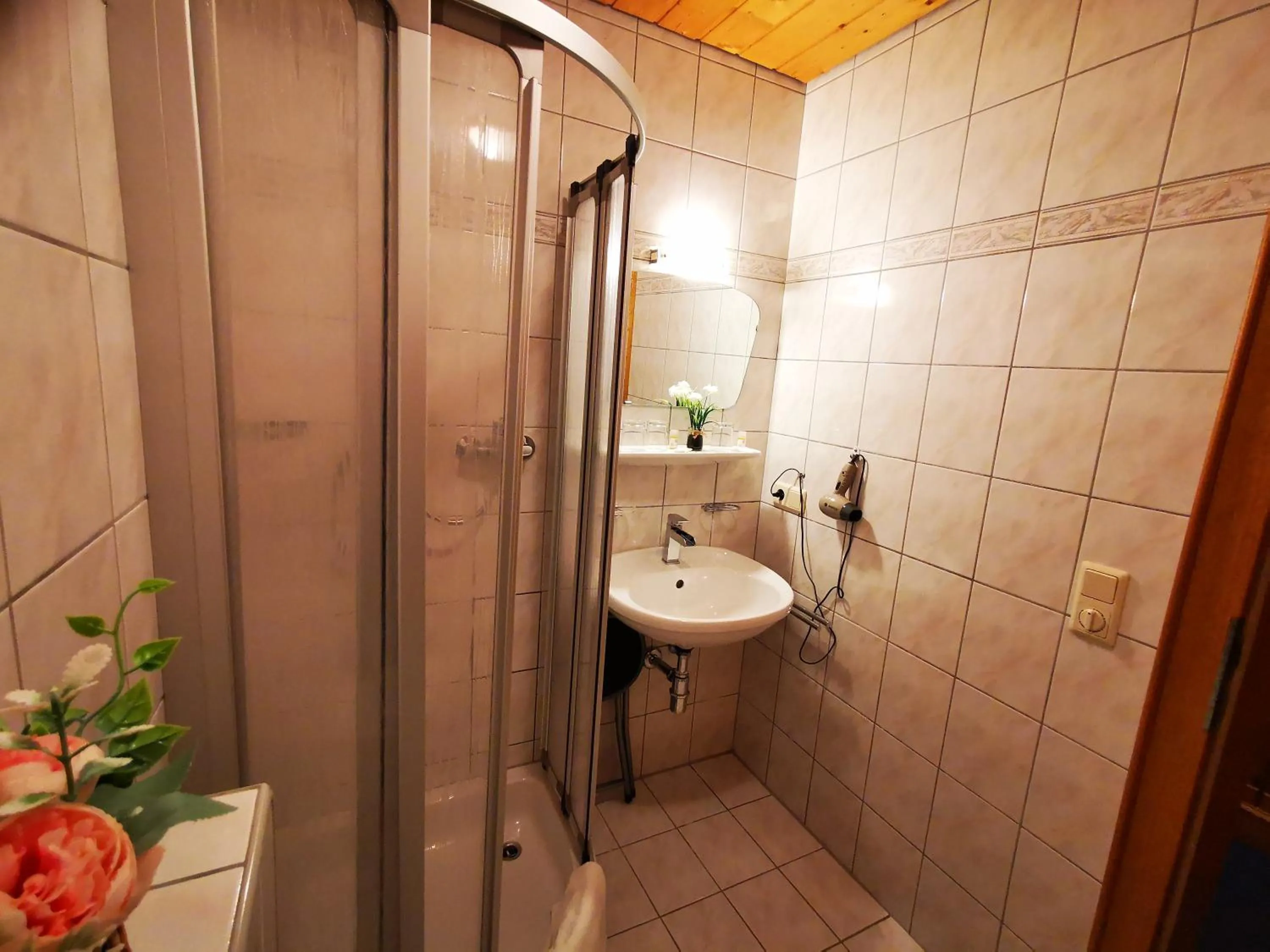 Shower in Gasthof Geronimo