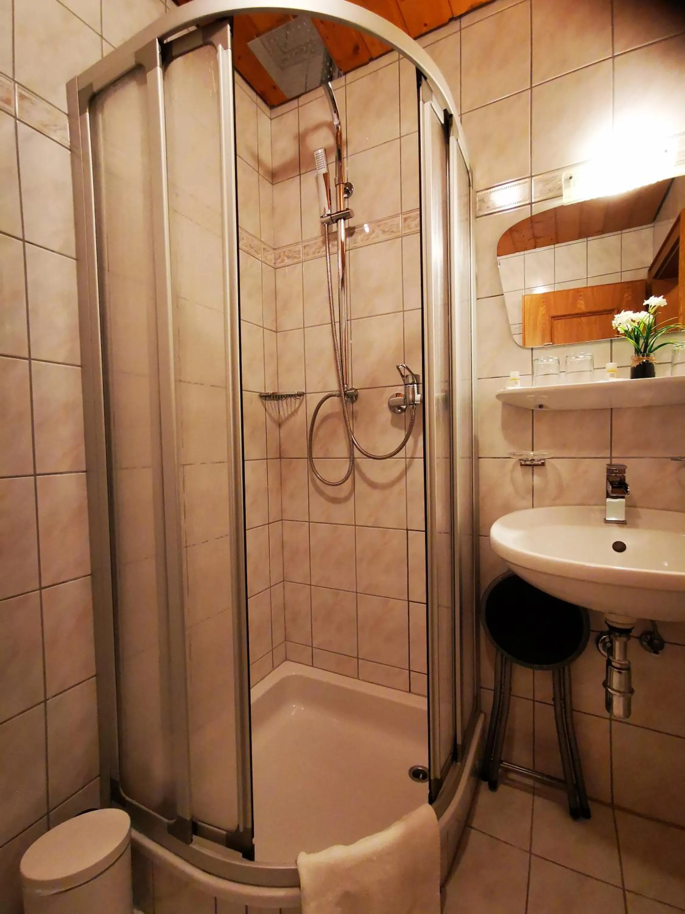 Shower in Gasthof Geronimo