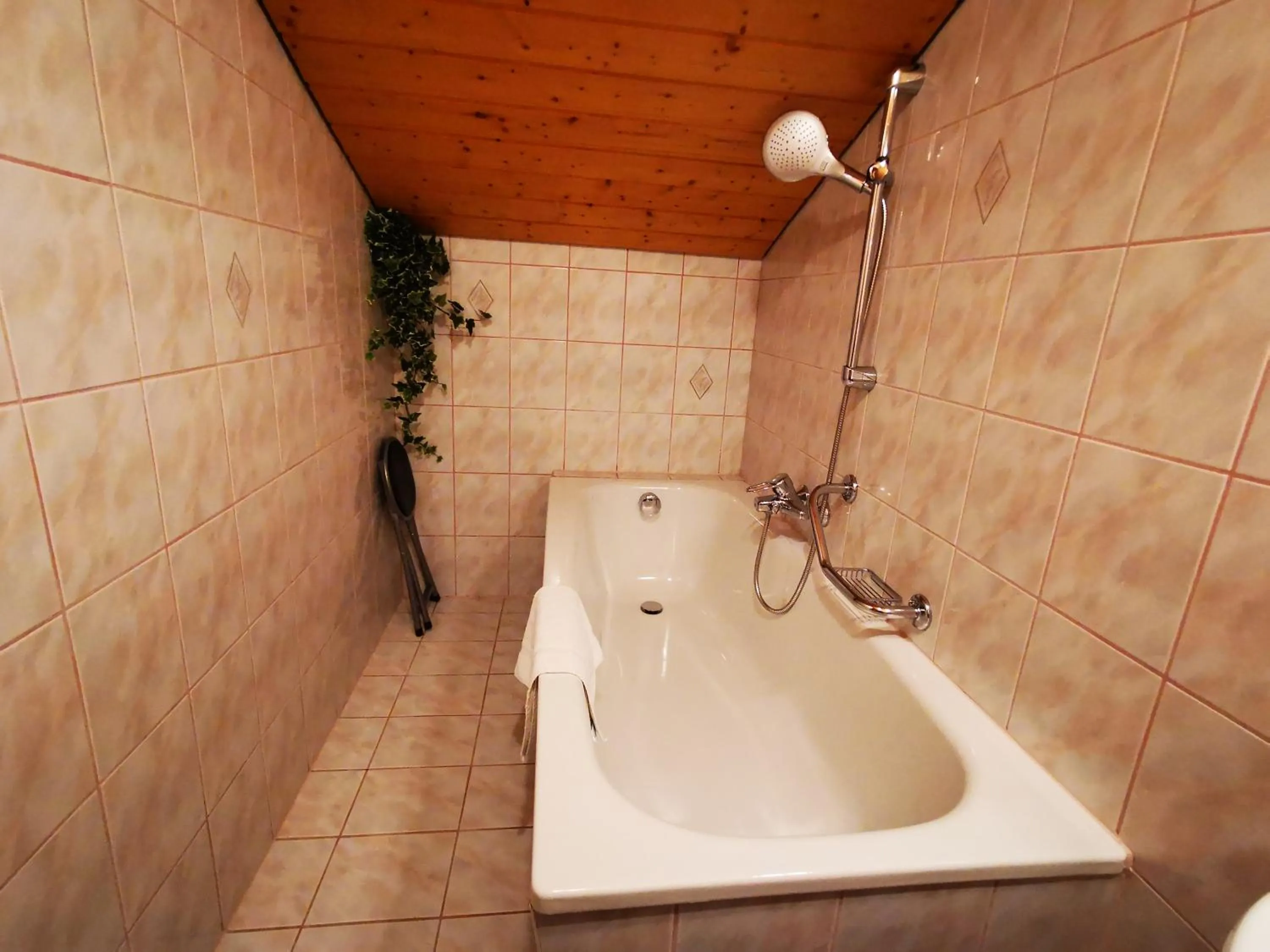 Bathroom in Gasthof Geronimo