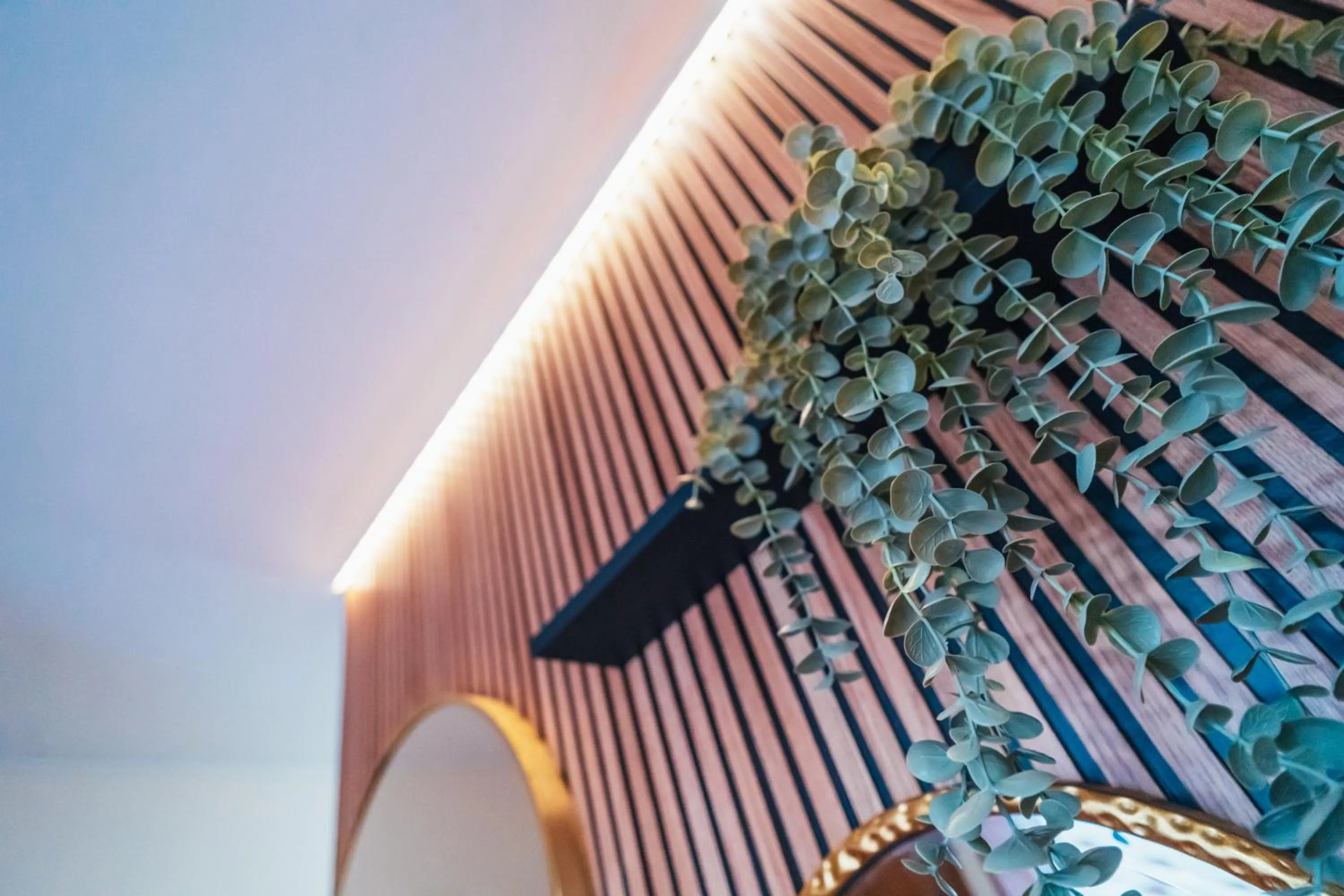 Area and facilities in Hostal Cortés